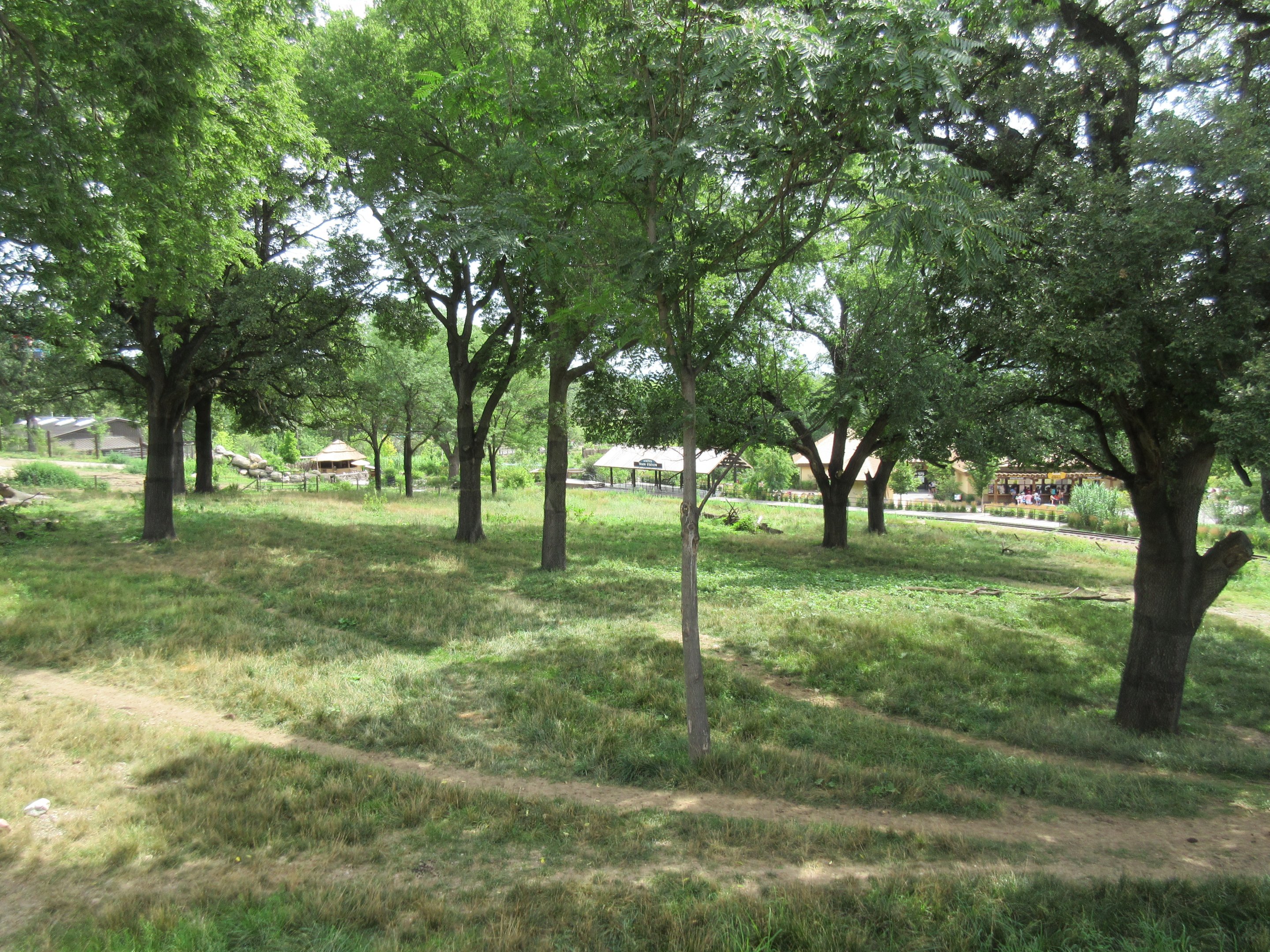 African Grasslands - Multi-Acre Giraffe/Impala/Ostrich/White Stork Savanna