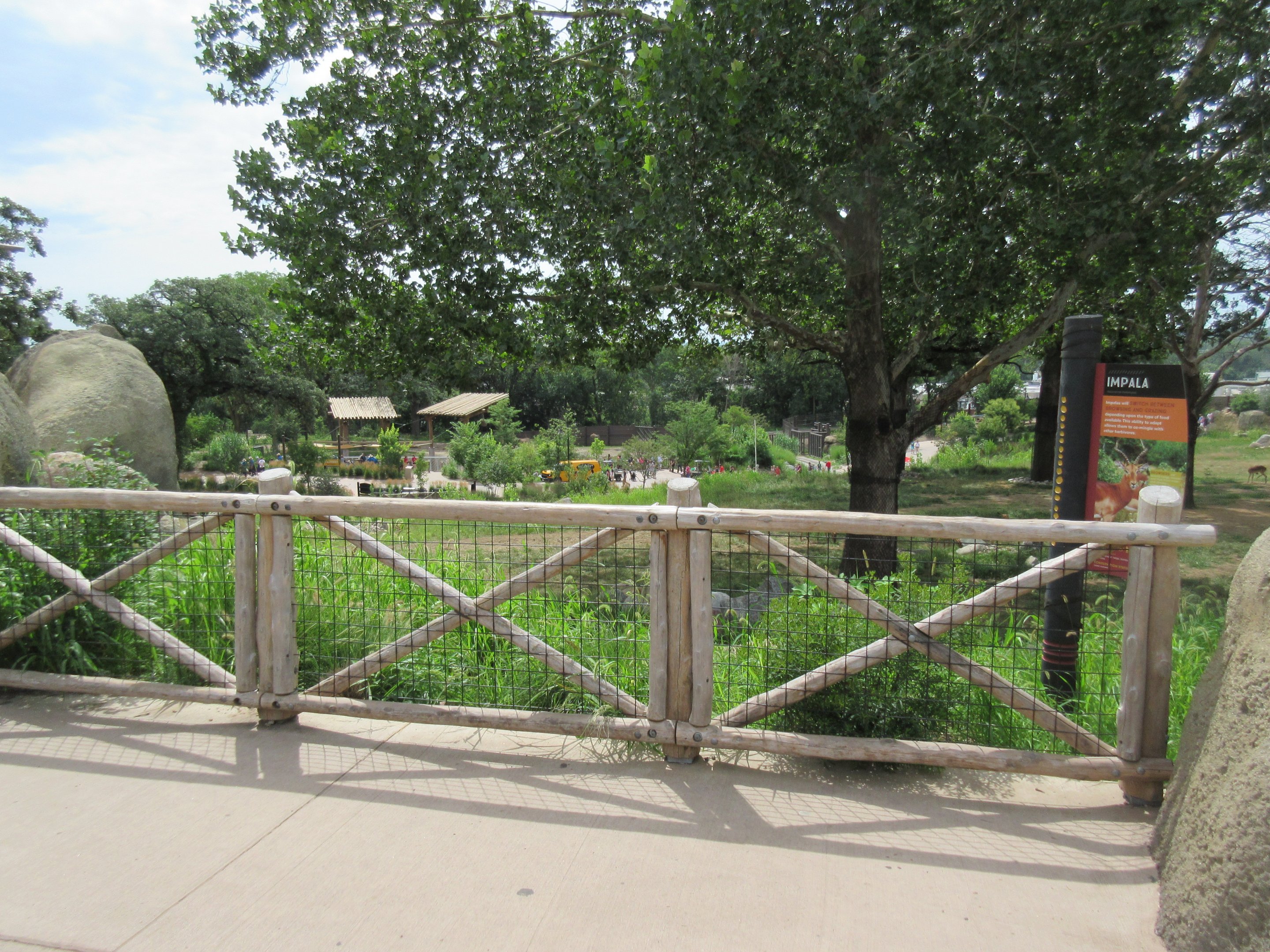 African Grasslands - Multi-Acre Giraffe/Impala/Ostrich/White Stork Savanna