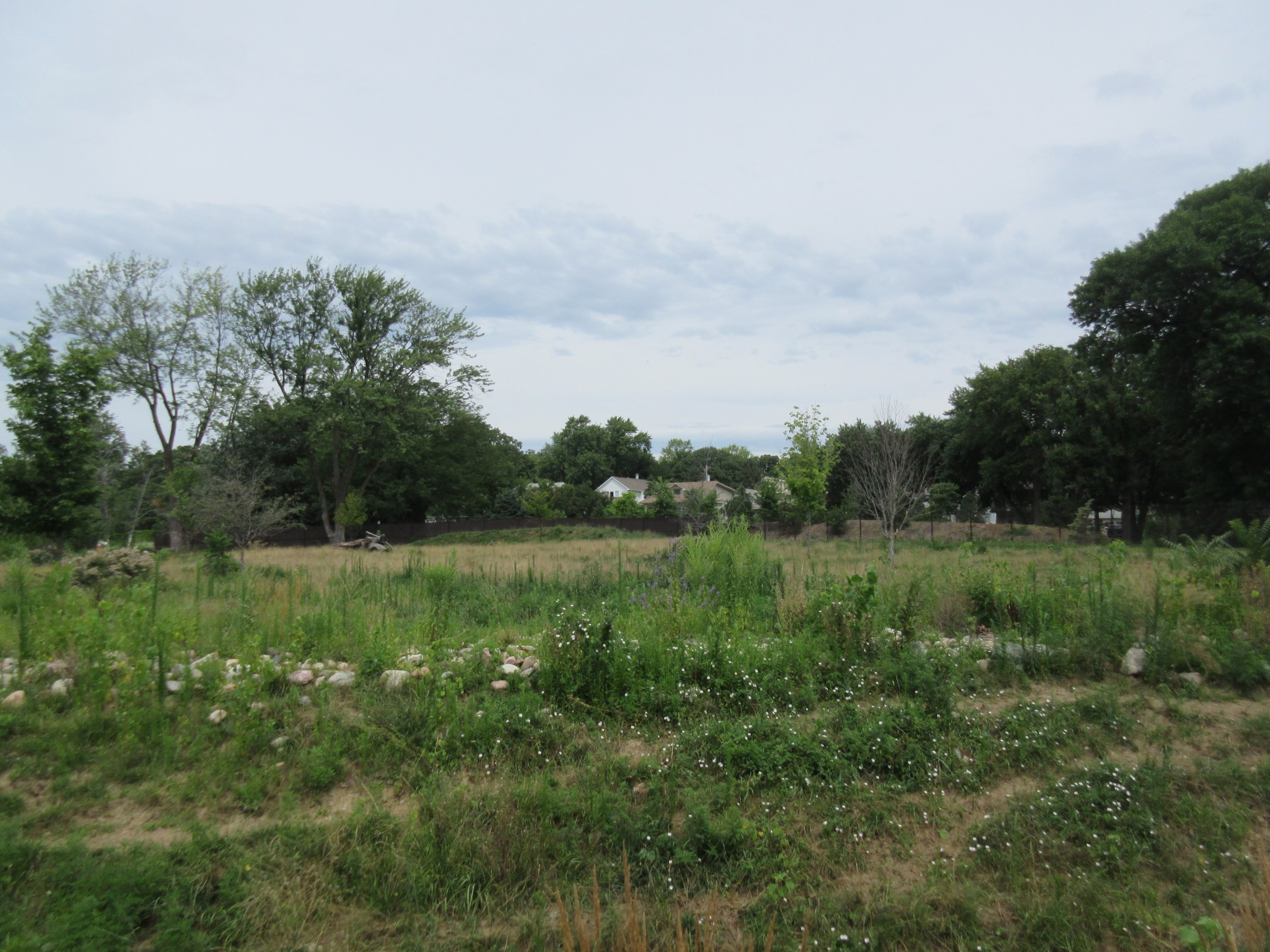 African Grasslands - Multi-Acre Sable Antelope Exhibit