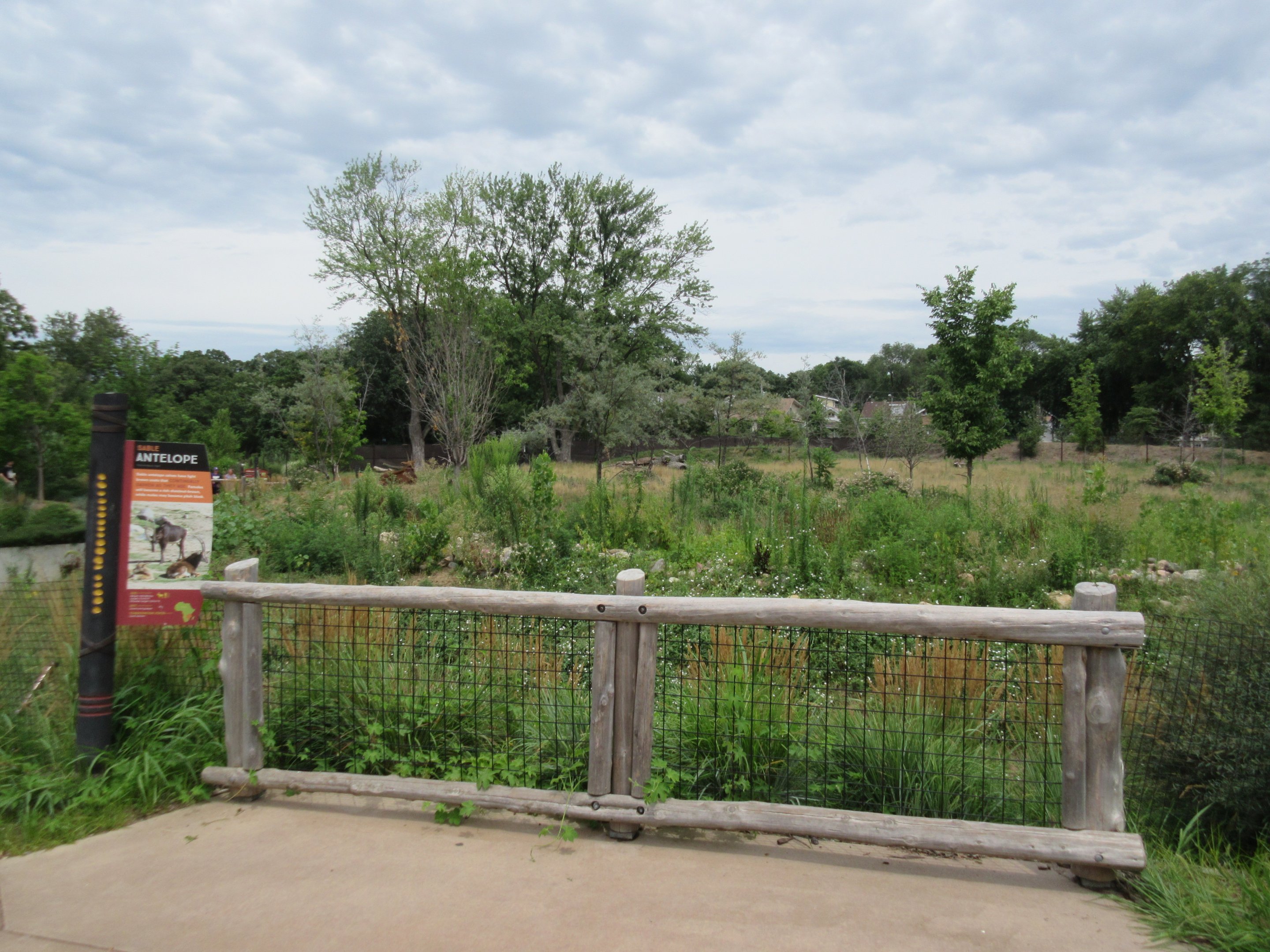 African Grasslands - Multi-Acre Sable Antelope Exhibit