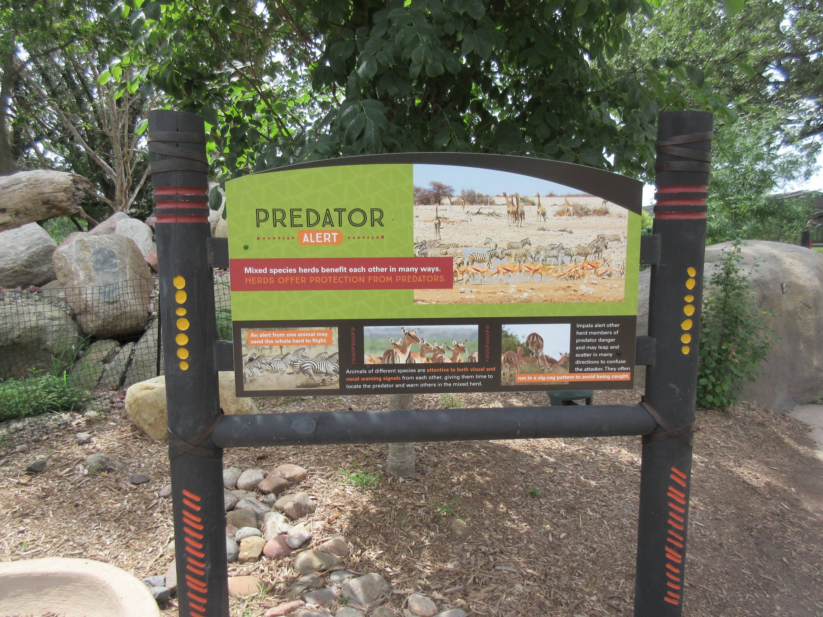 African Grasslands - Predators Sign