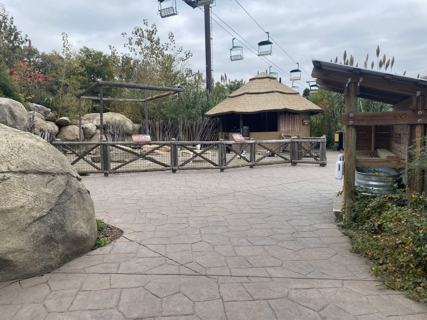 African Grasslands - Pygmy Goat Exhibit