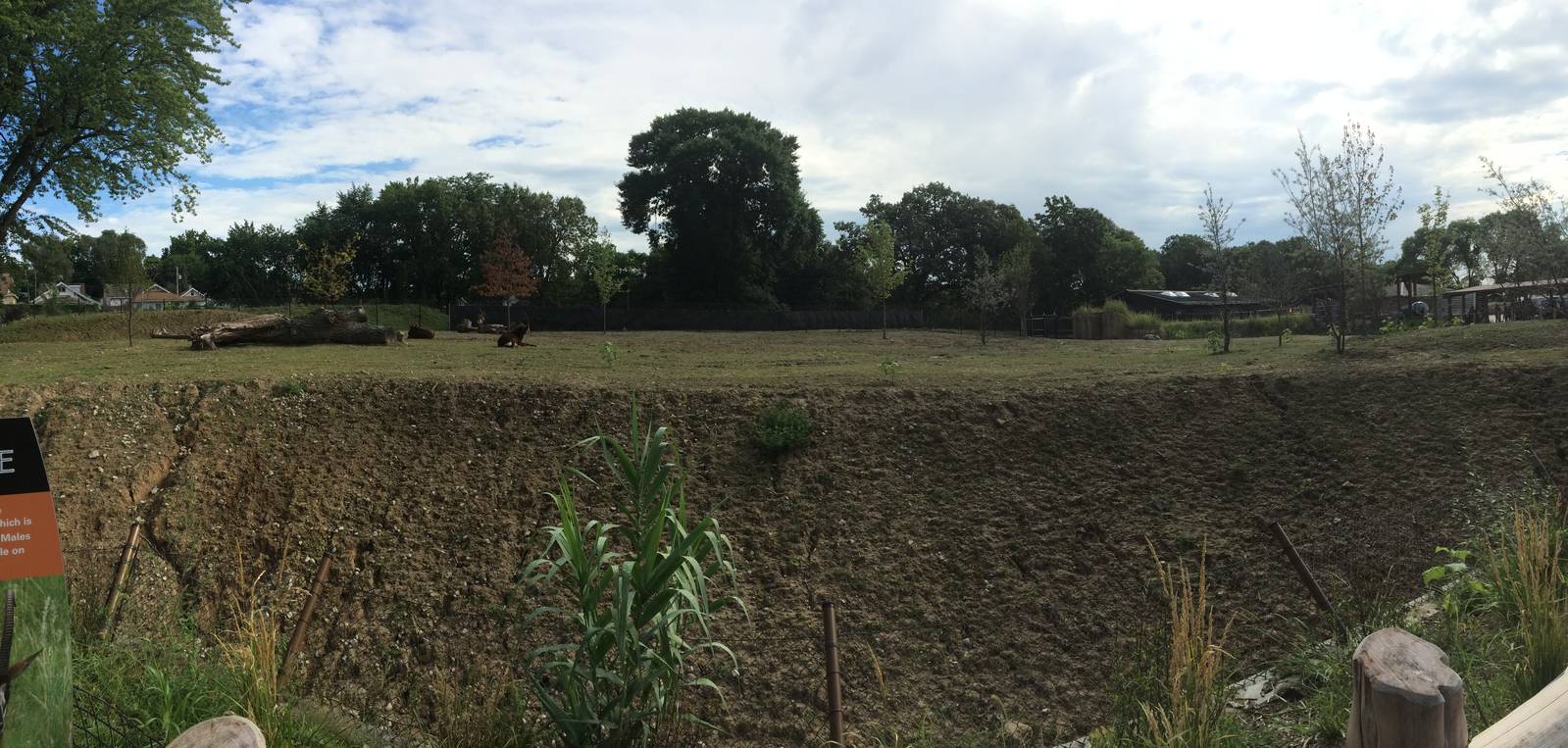 African Grasslands: Sable Antelope Exhibit