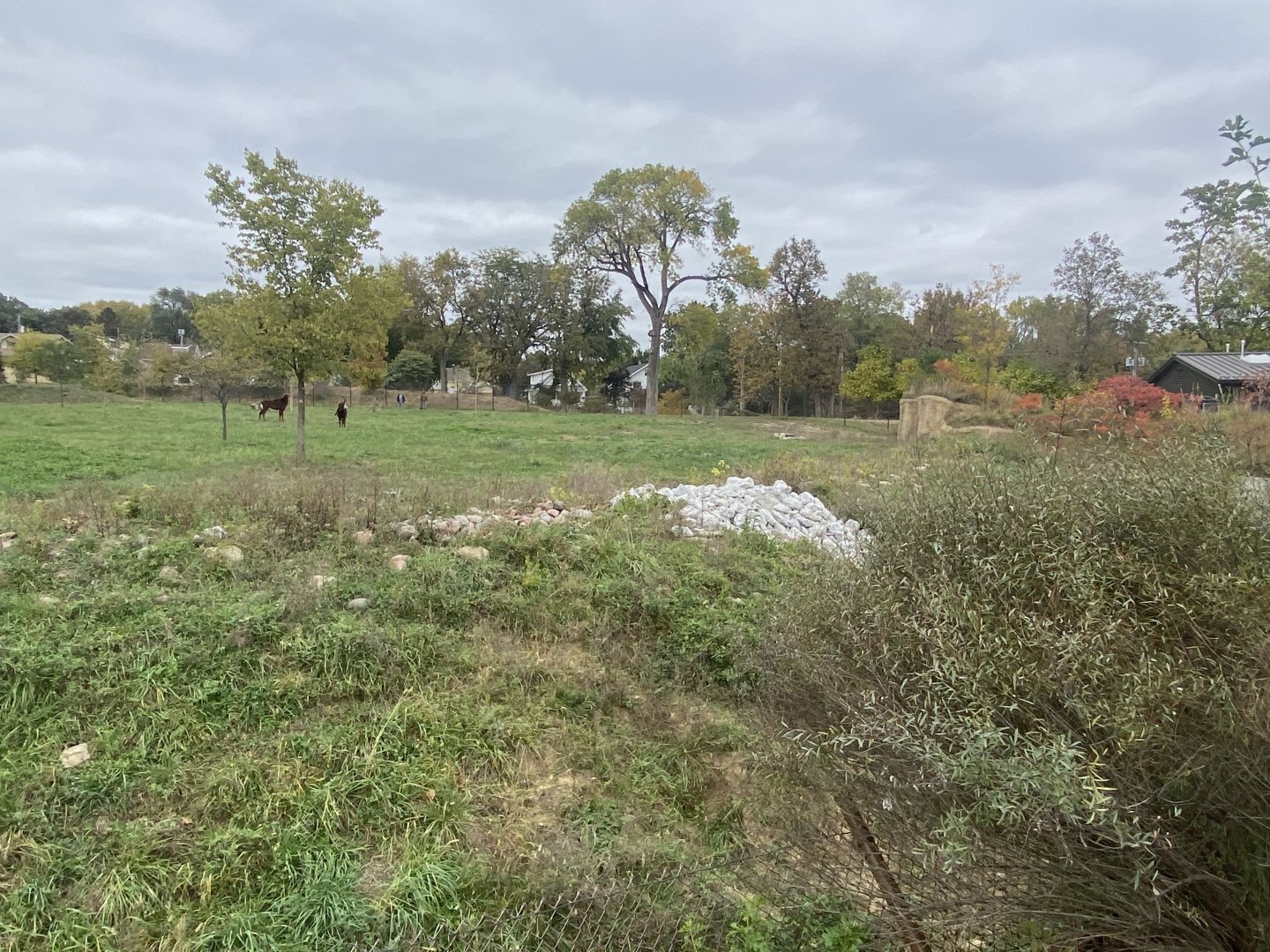 African Grasslands - Sable Antelope Exhibit