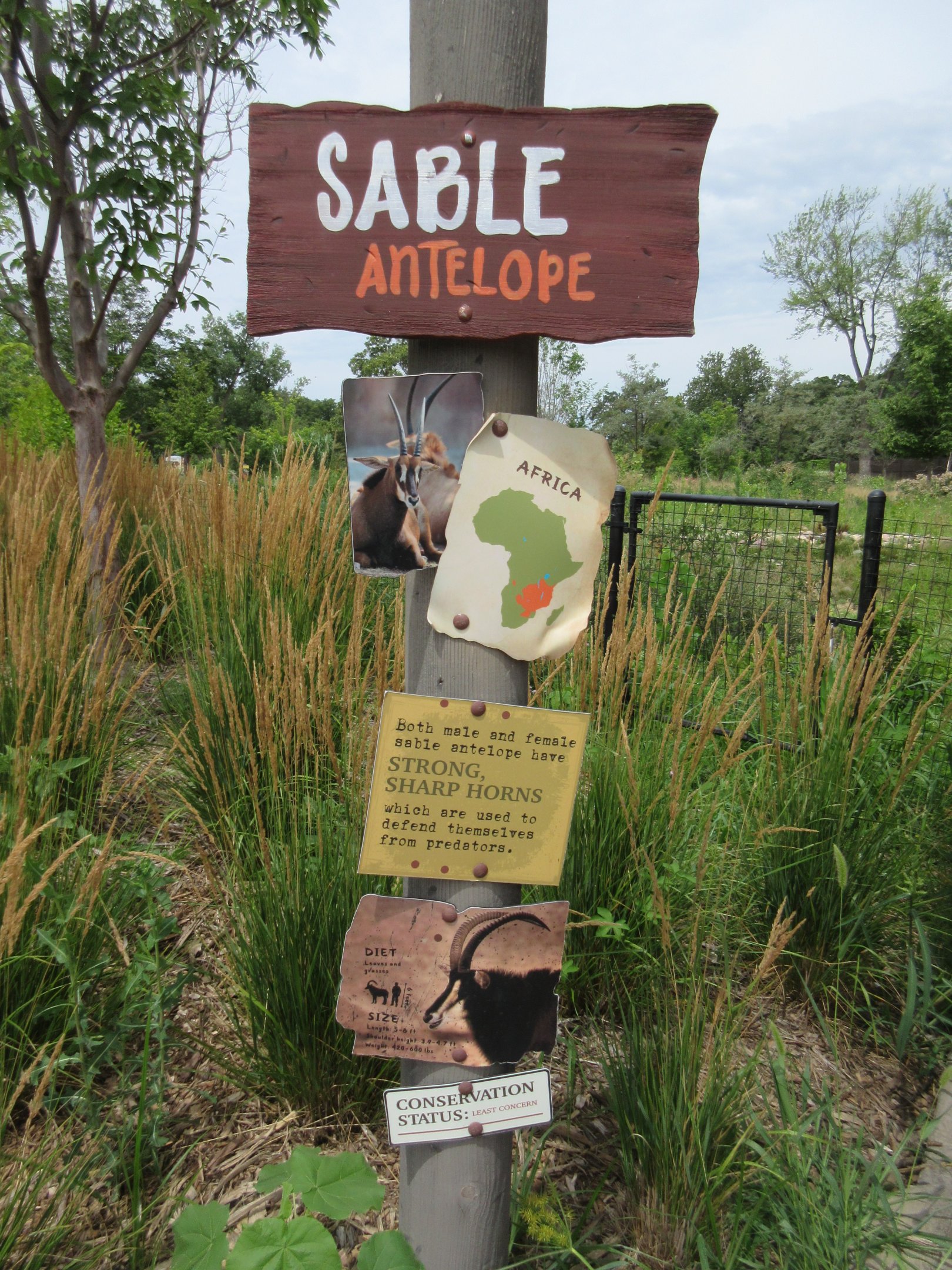 African Grasslands - Sable Antelope Sign (cool sign!)