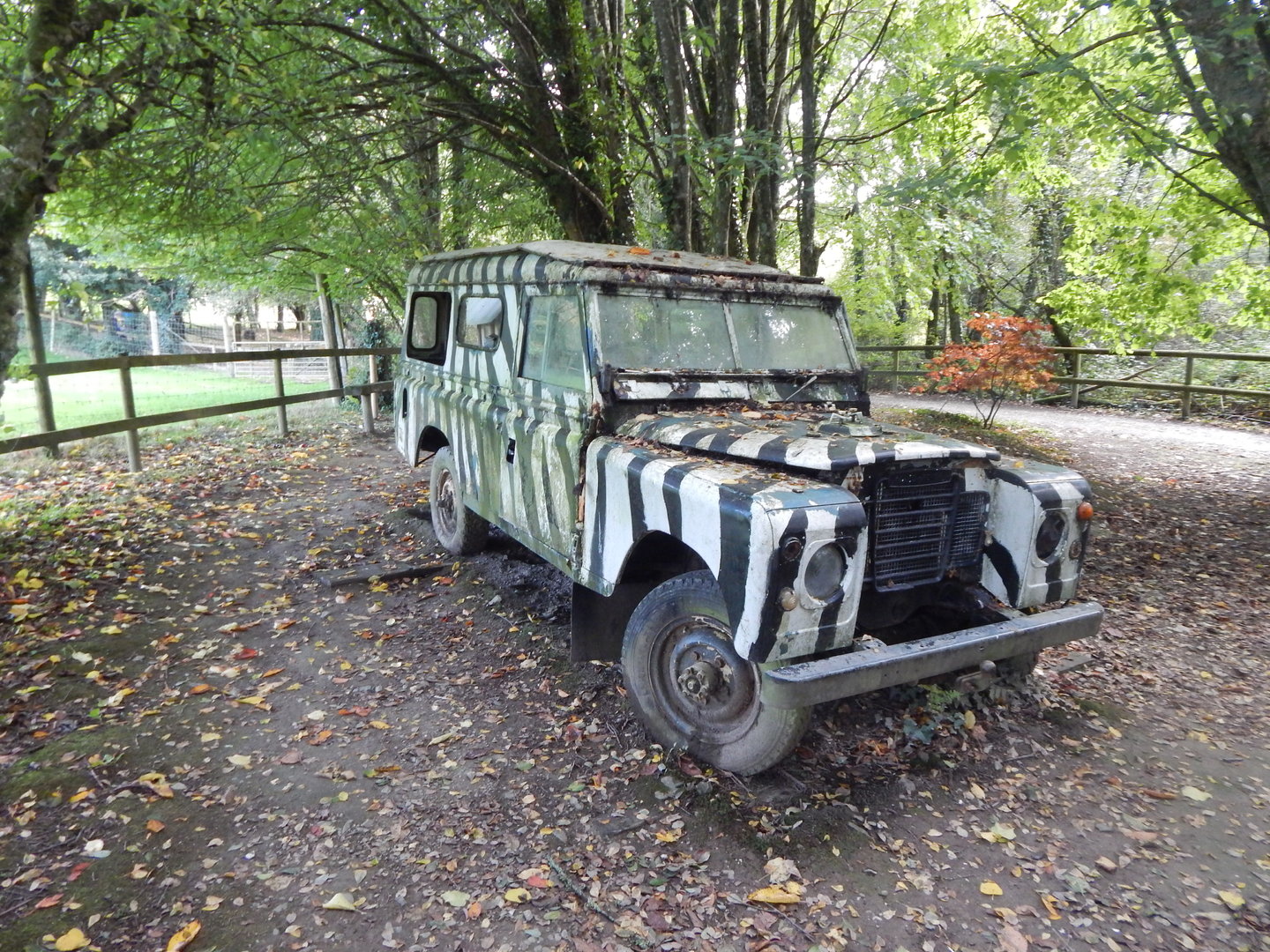 African Grasslands theming 151022