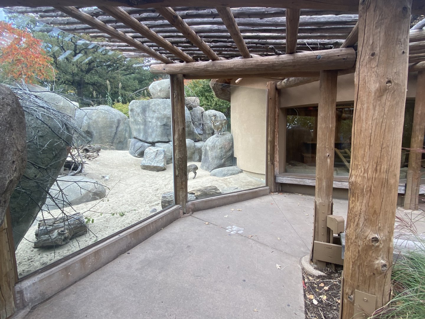 African Grasslands - Viewing Shelter
