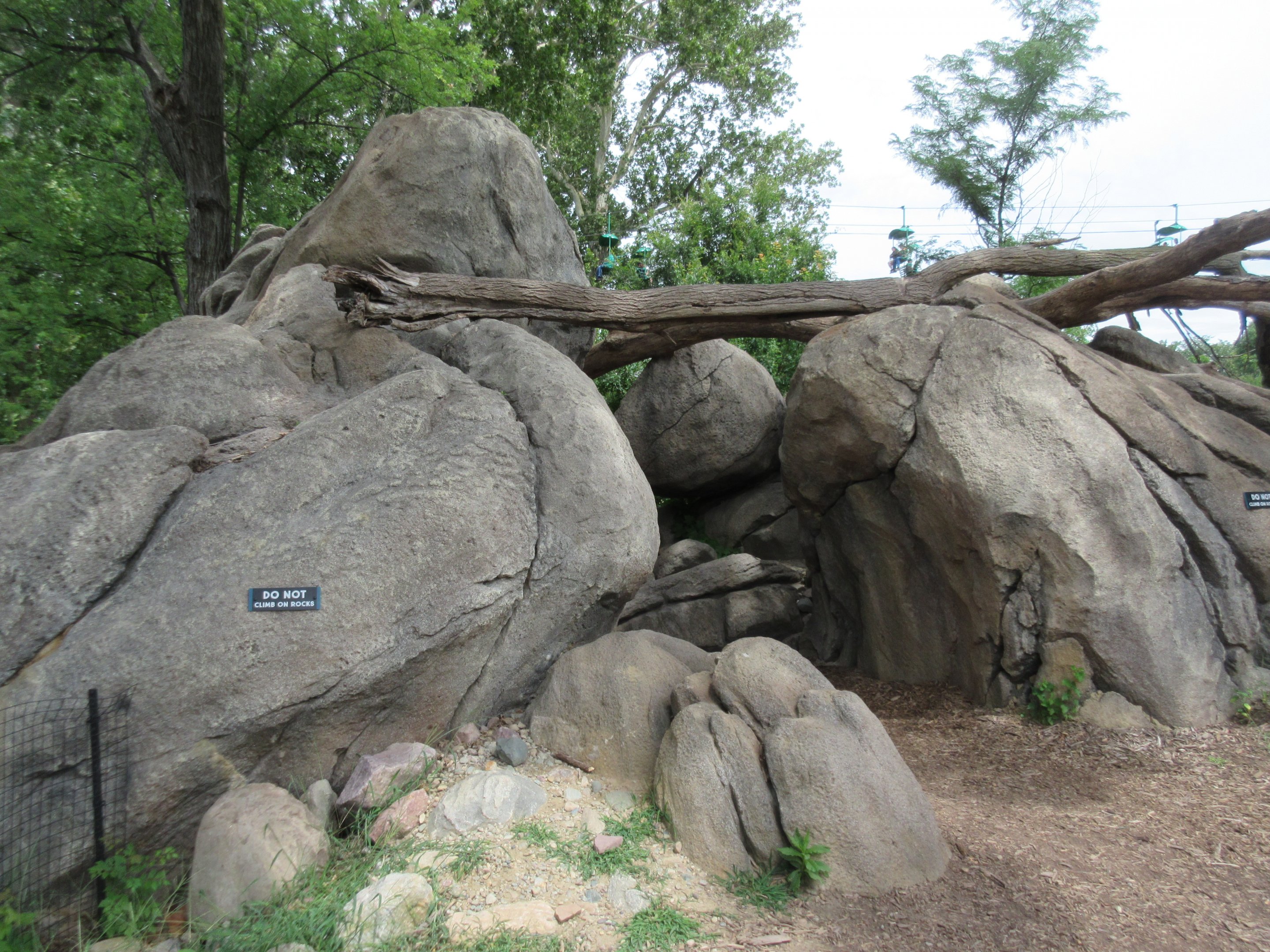 African Grasslands - Visitor Kopje Fossil Trail