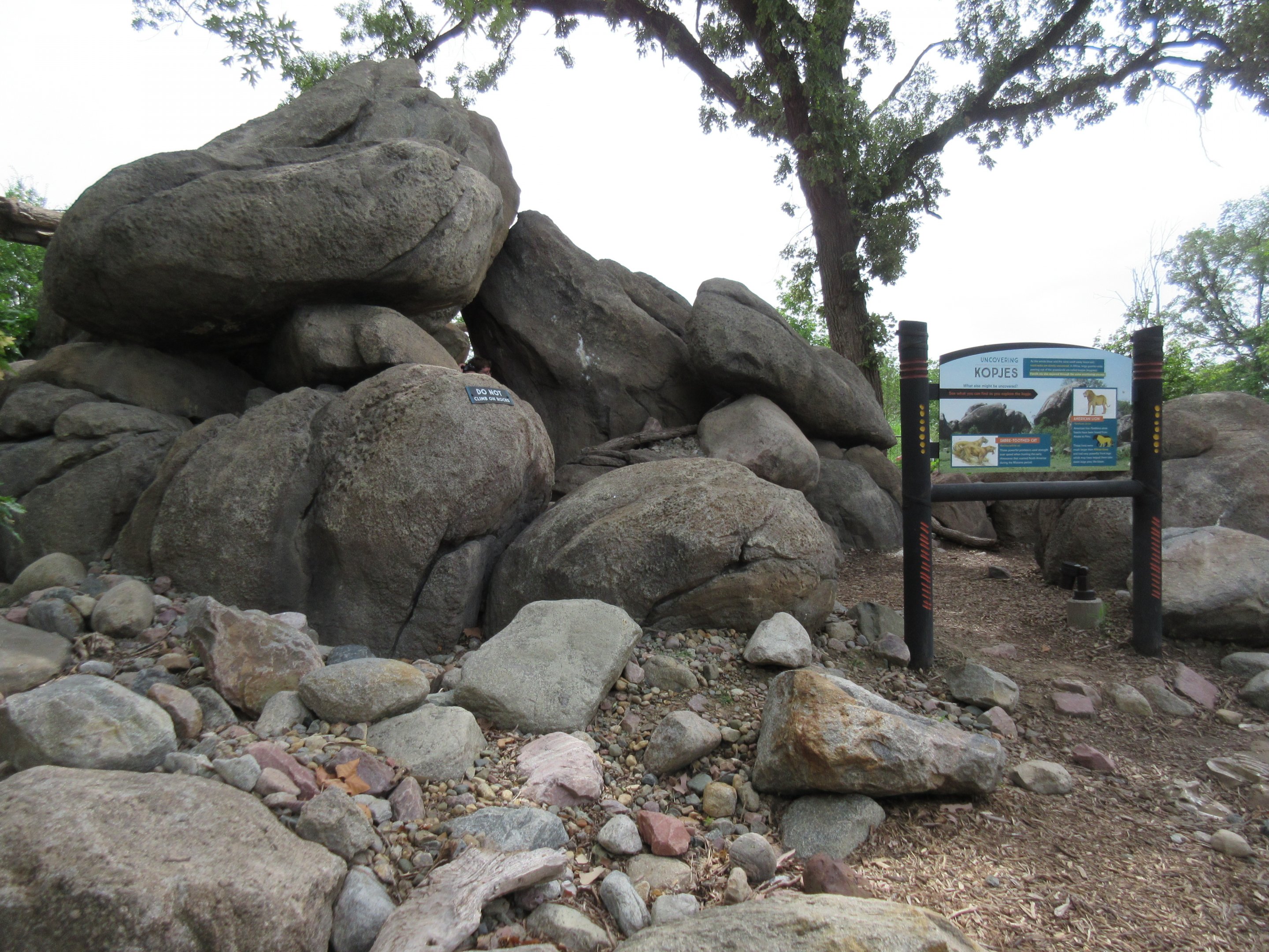 African Grasslands - Visitor Kopje Mini-Trail