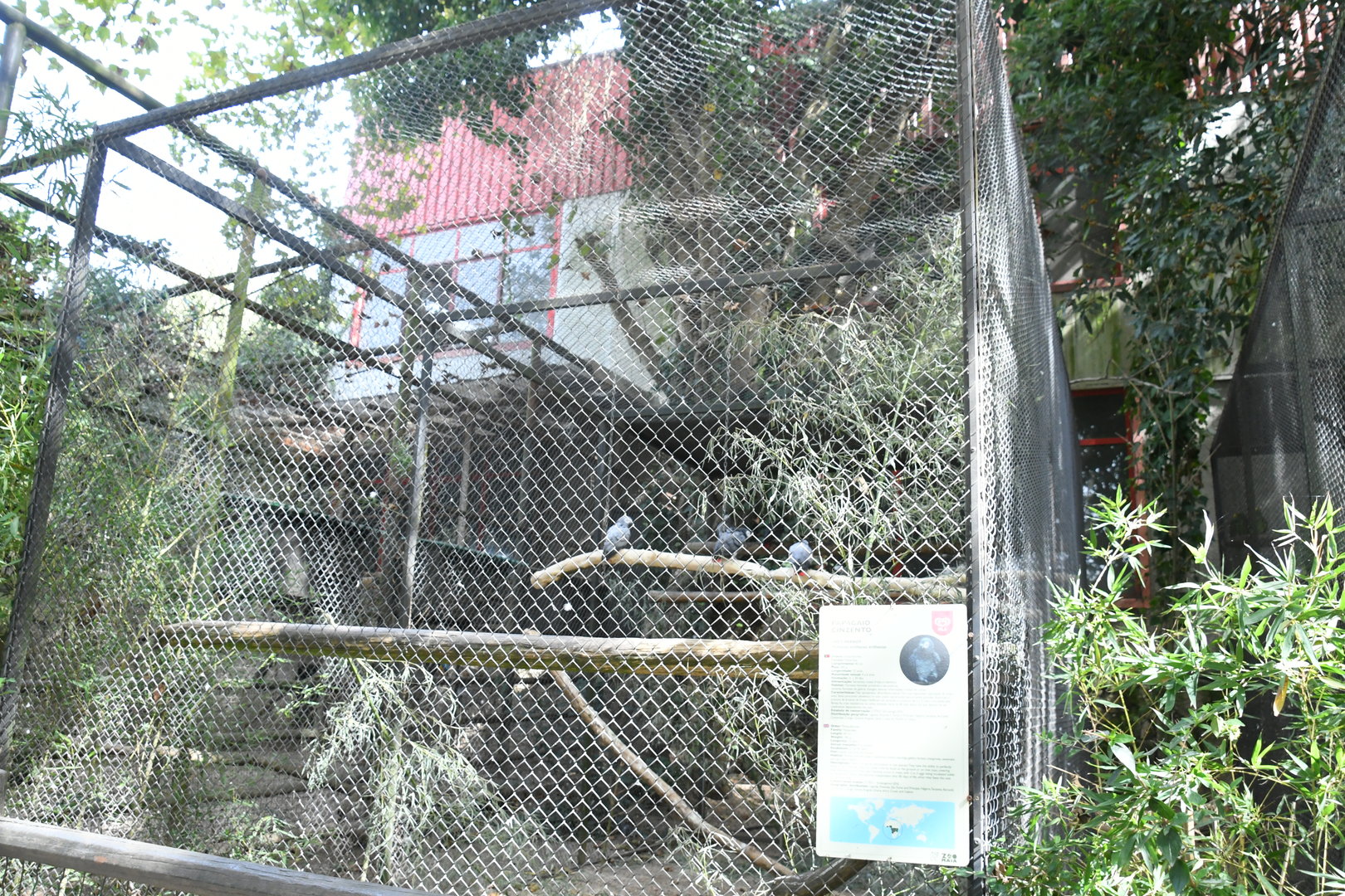 African Gray Parrots cage