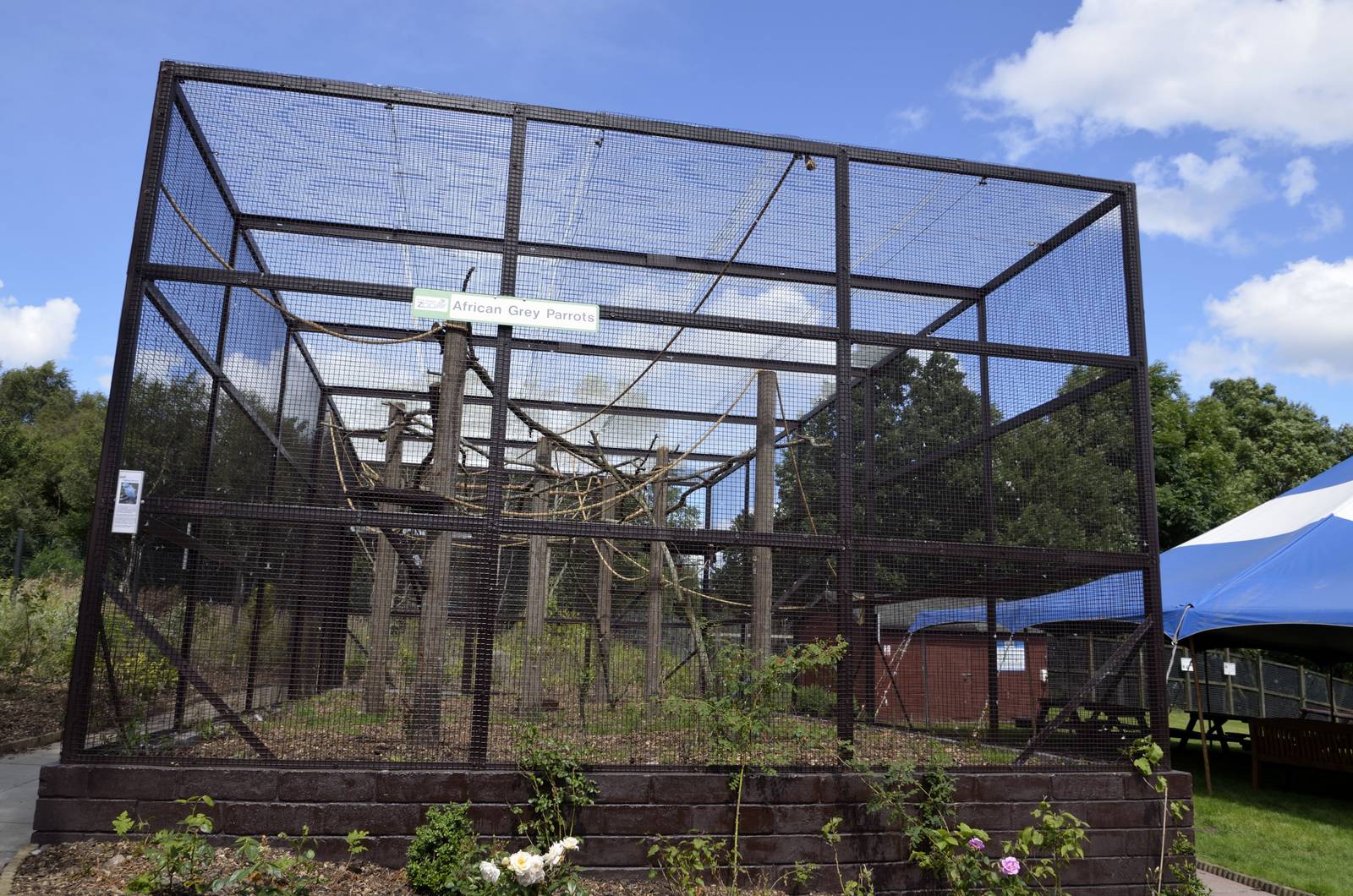 African grey aviary-06/07/2014