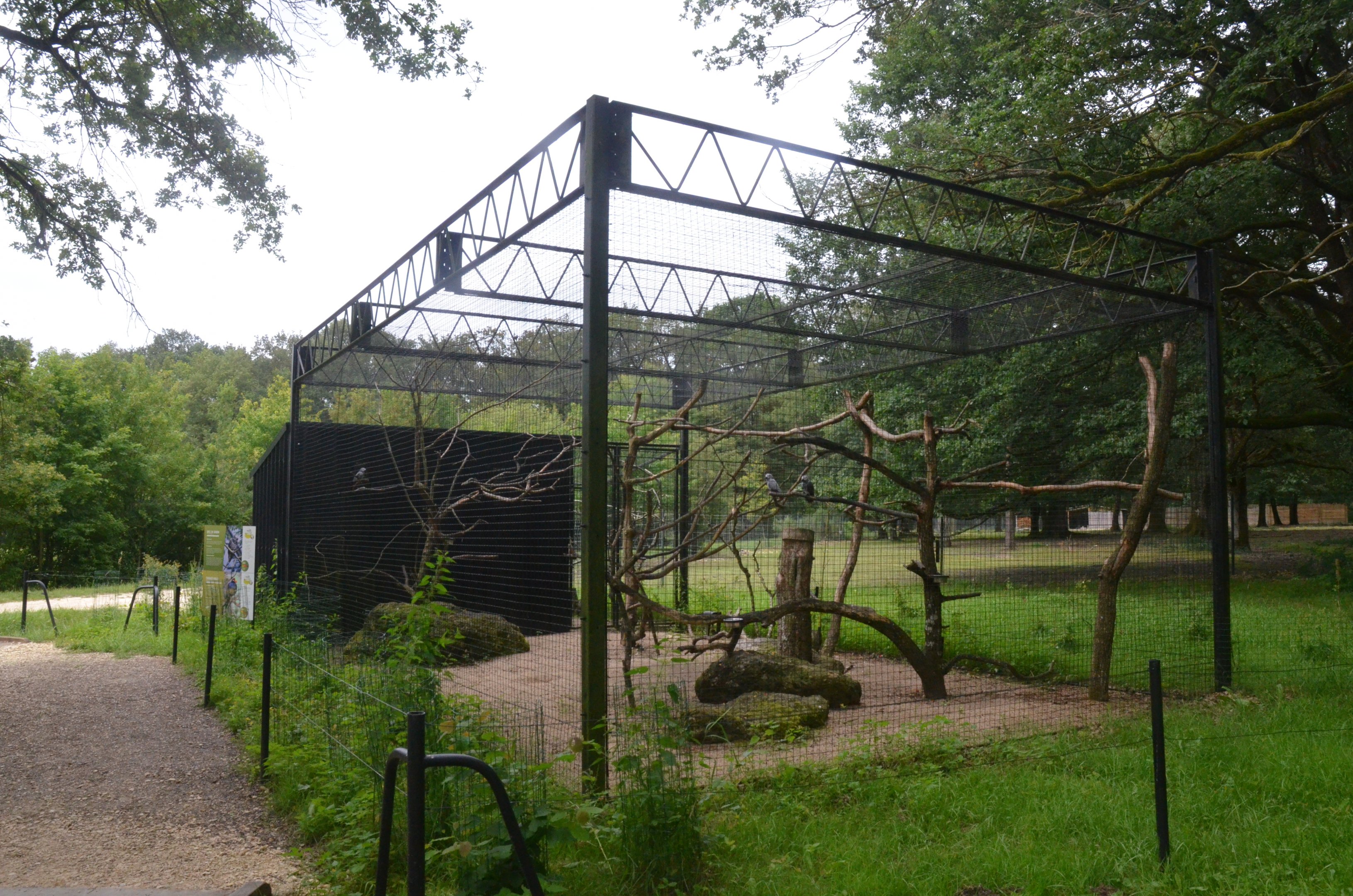 African Grey Parrot and Violet Turaco Aviary at Haute-Touche, 14/06/18