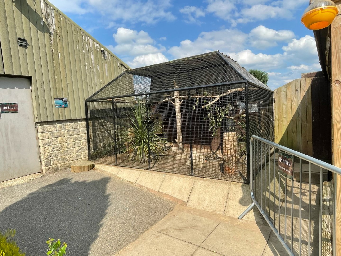African Grey Parrot at Ponderosa Zoo (July 2021)