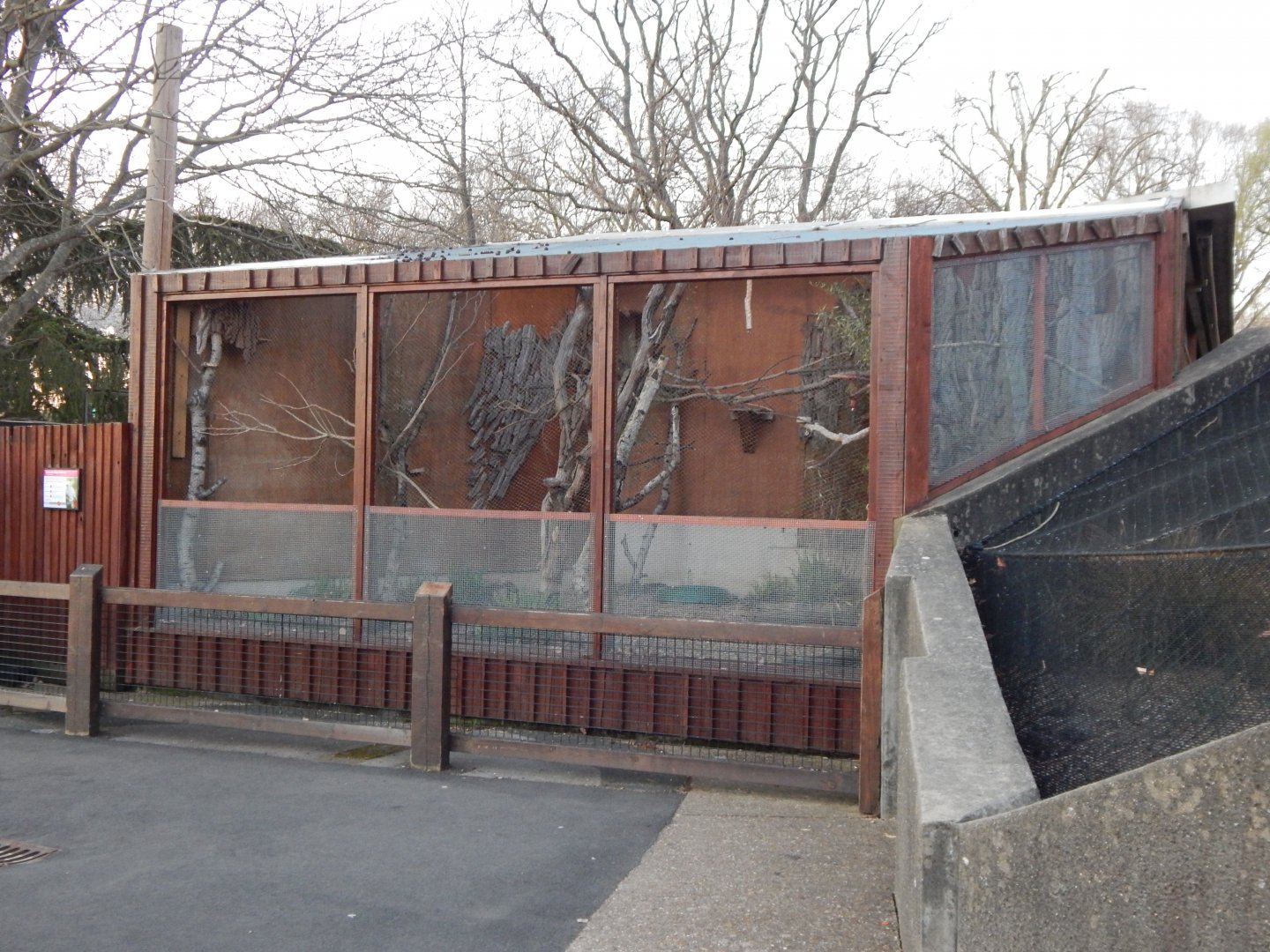 African grey parrot aviary (evening) 180322