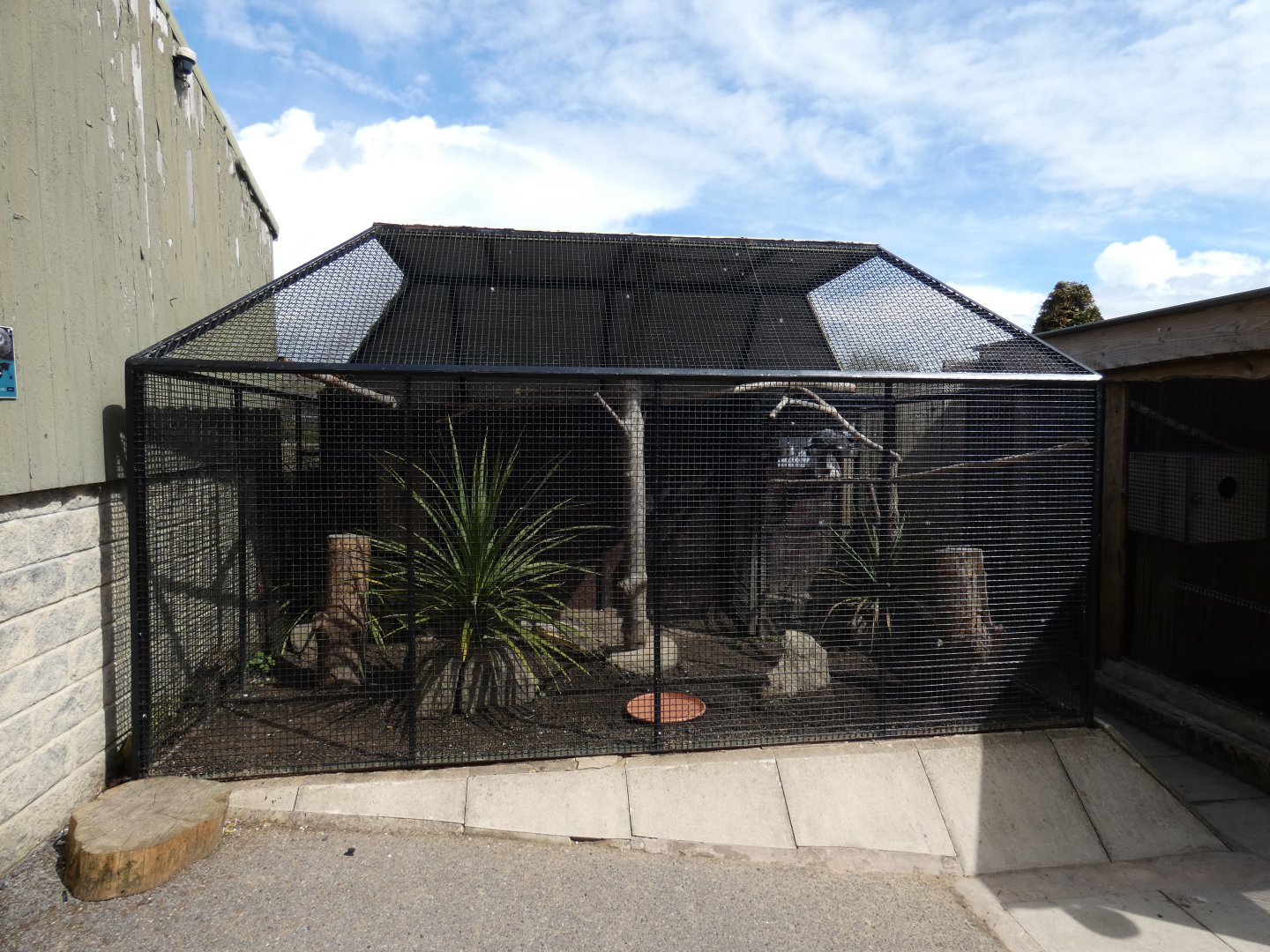 African grey parrot aviary