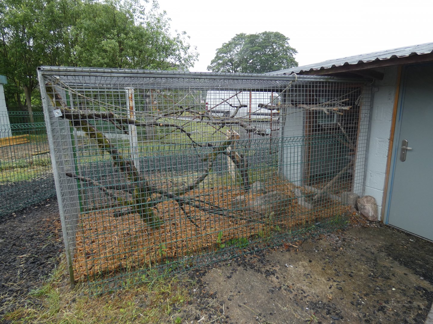 African grey parrot aviary