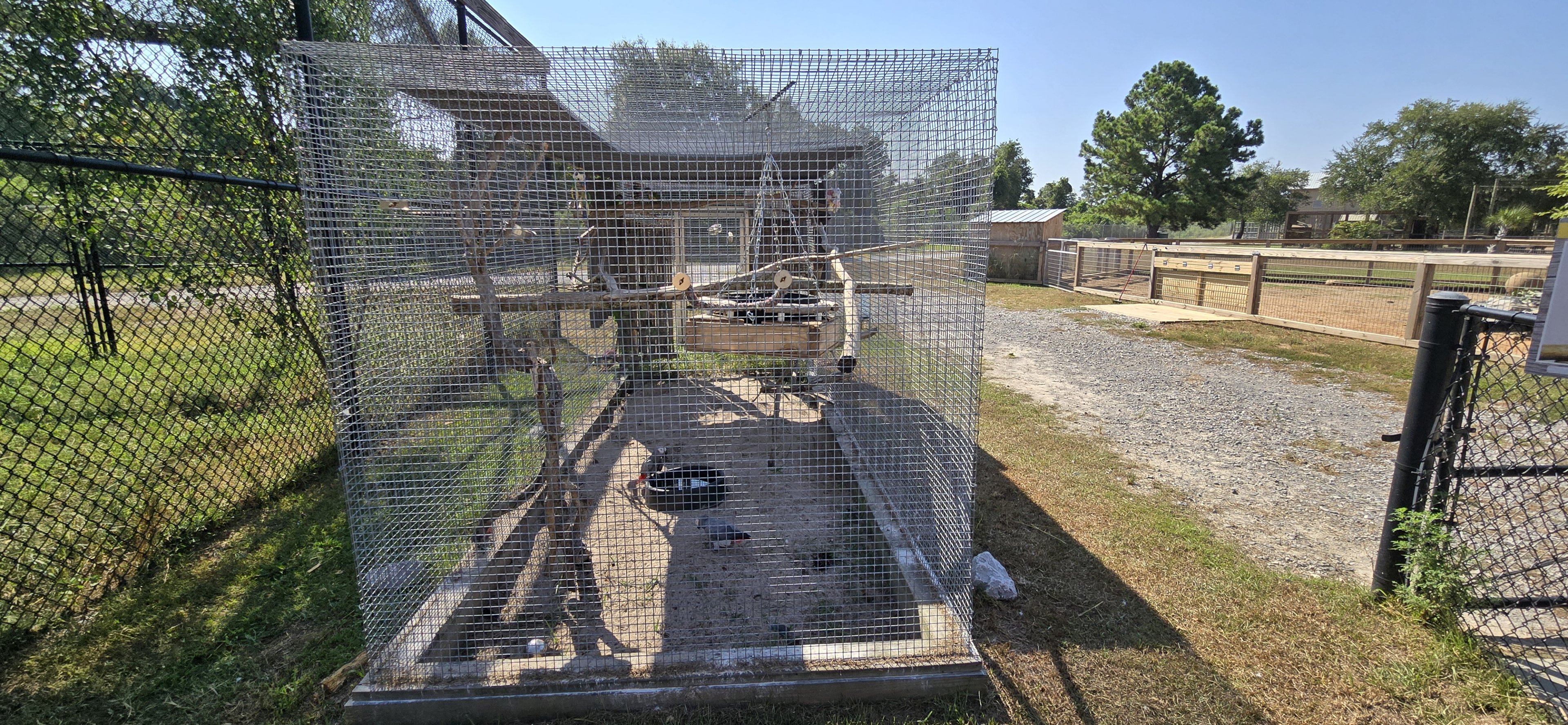 African Grey parrot cage