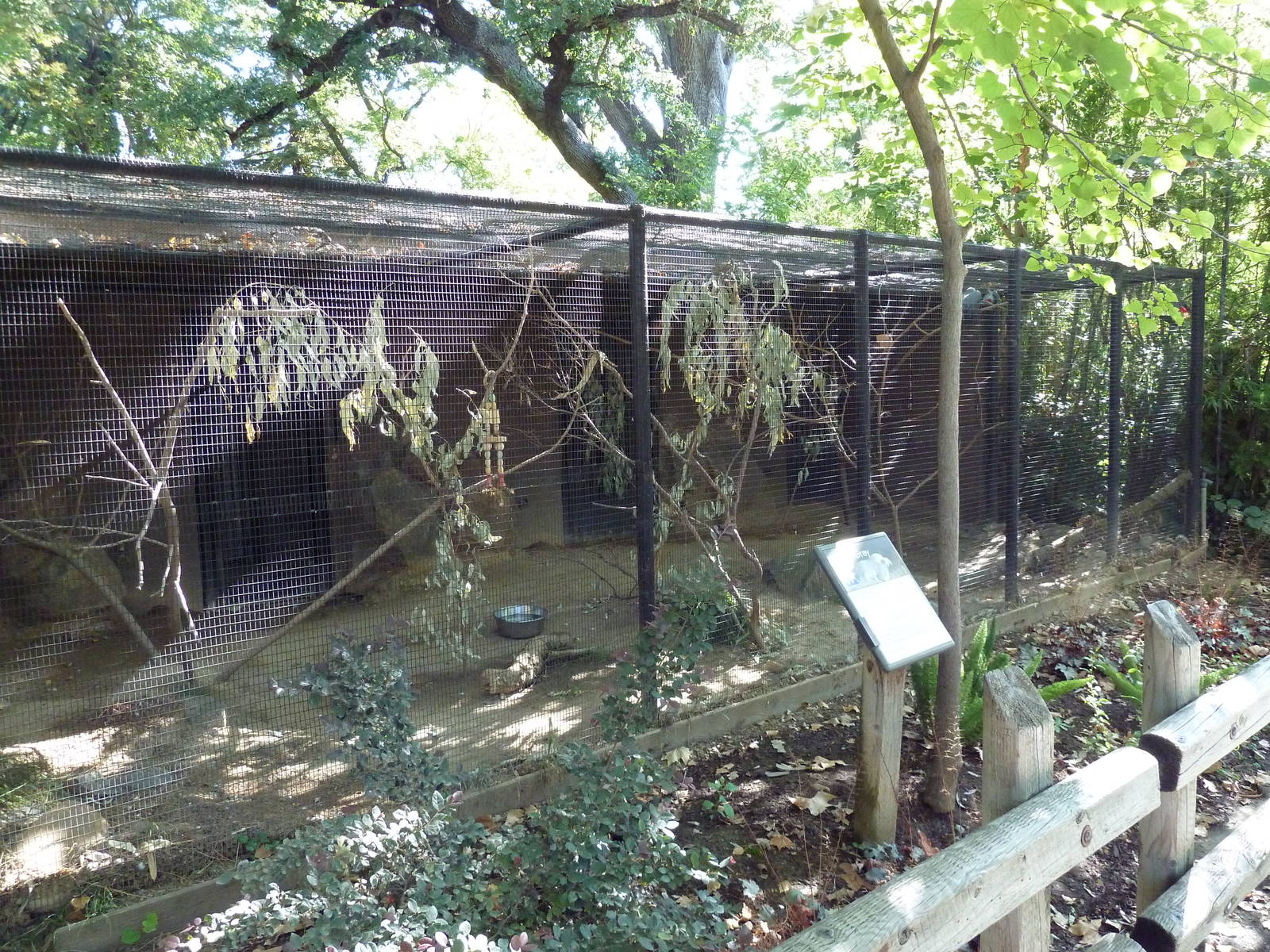 African Grey Parrot Exhibit