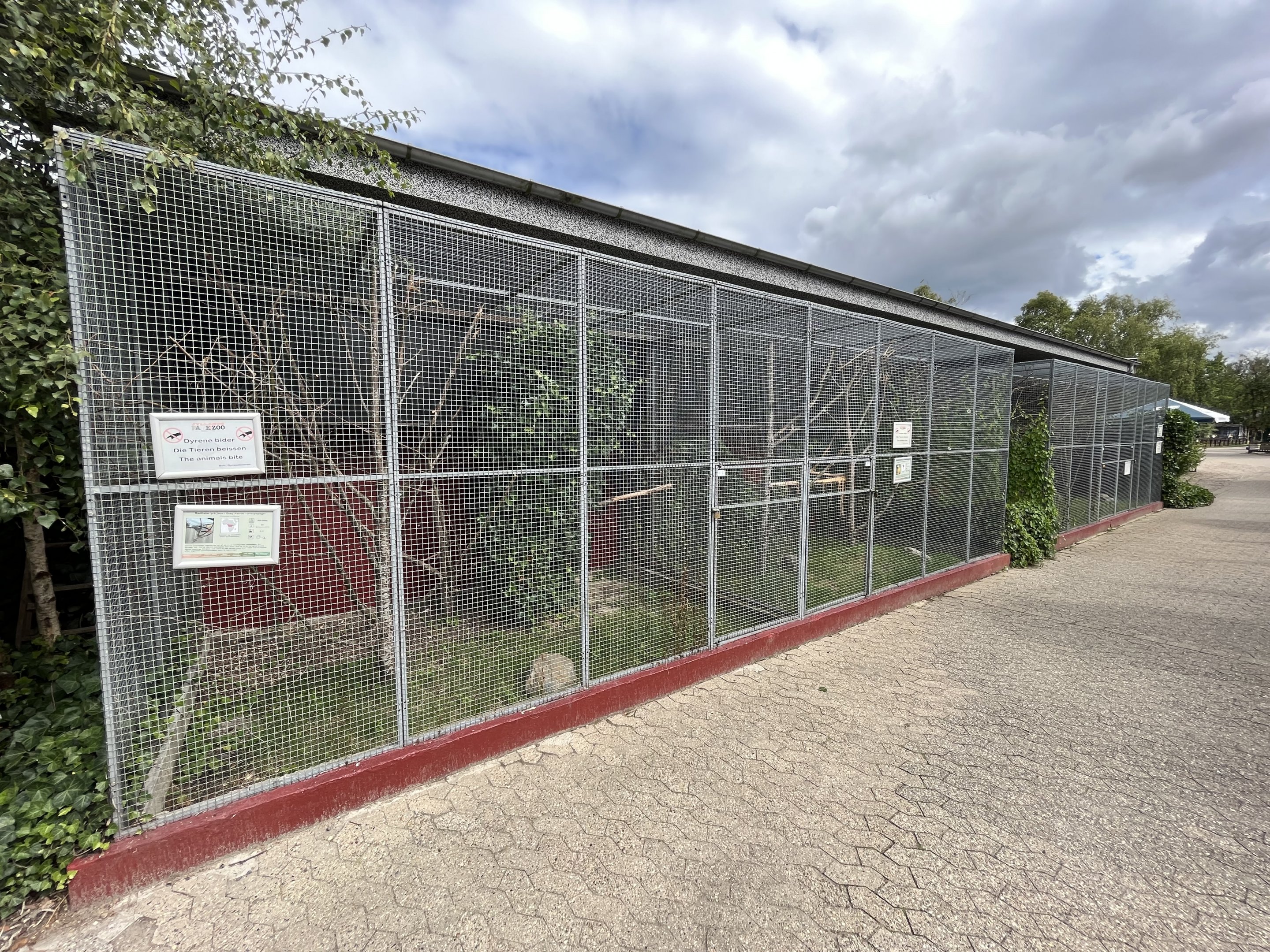African Grey Parrot Exhibit