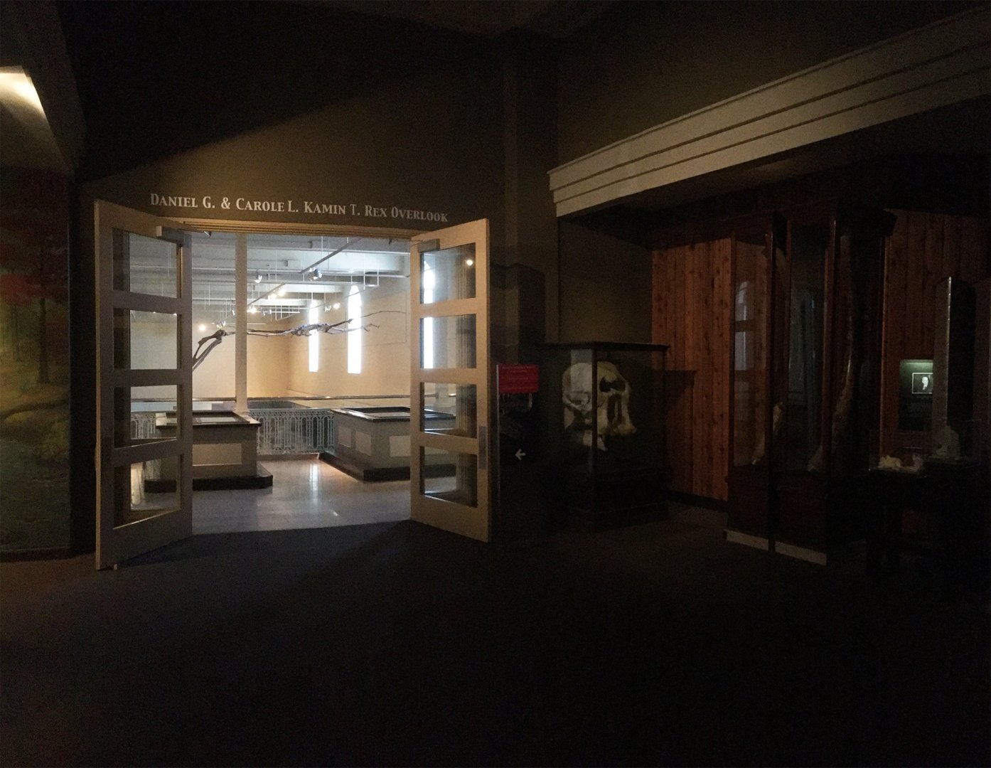 African Hall African Elephant Skull & Tusks