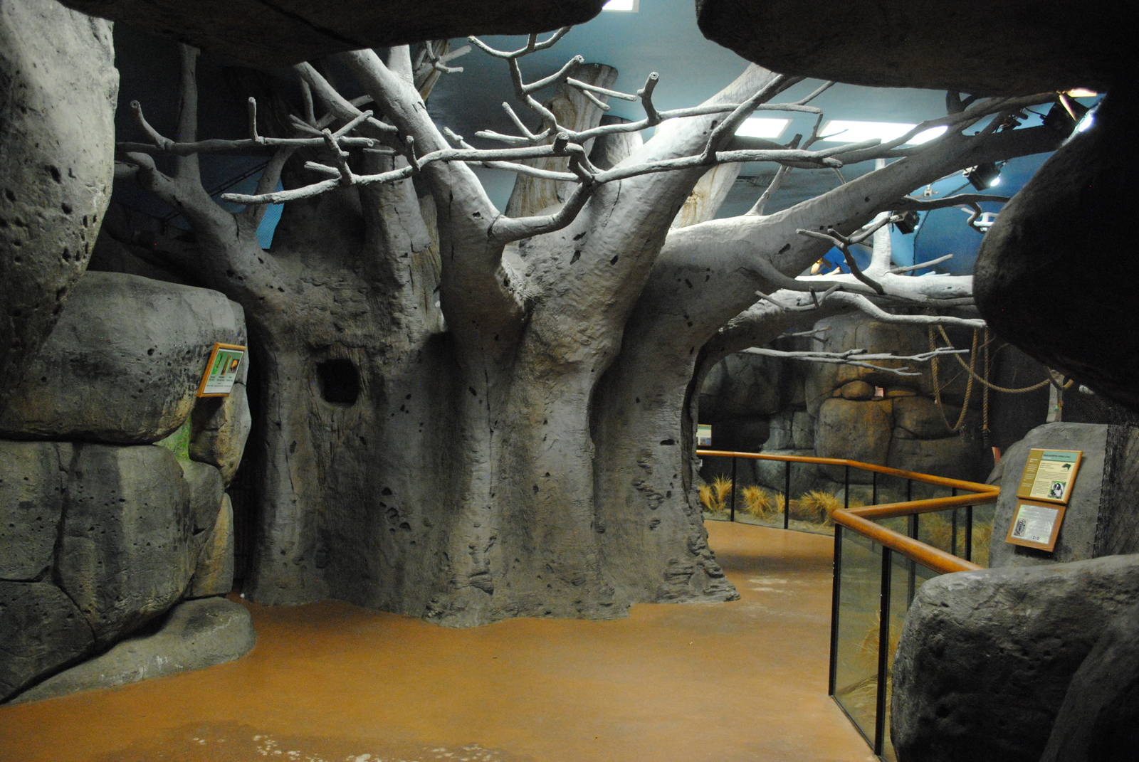 African Hall Interior