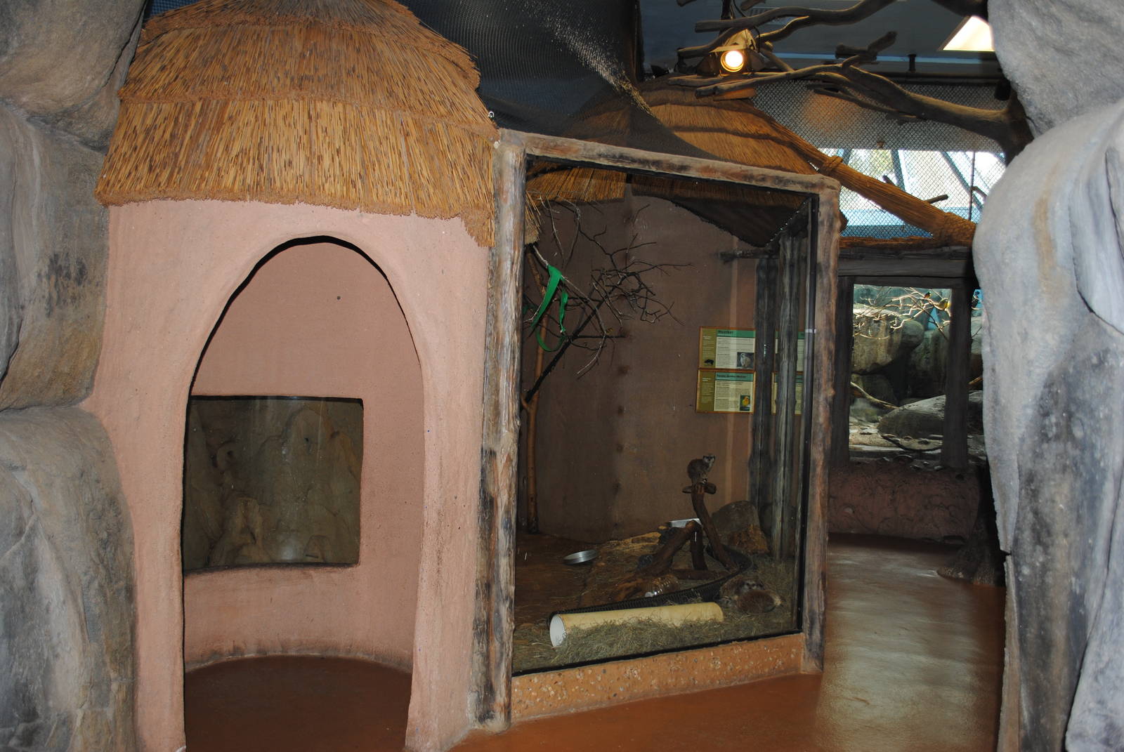 African Hall - Meerkats/Taveta Golden Weavers exhibit