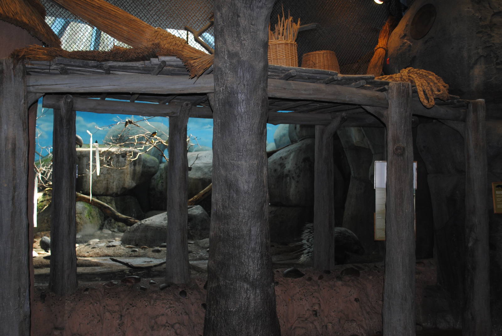 African Hall - Mixed Species exhibit