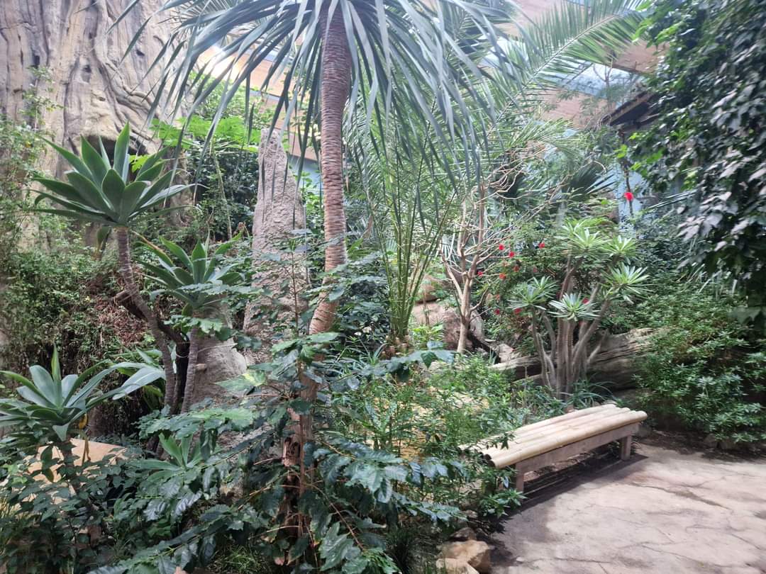 African hall, World of Birds