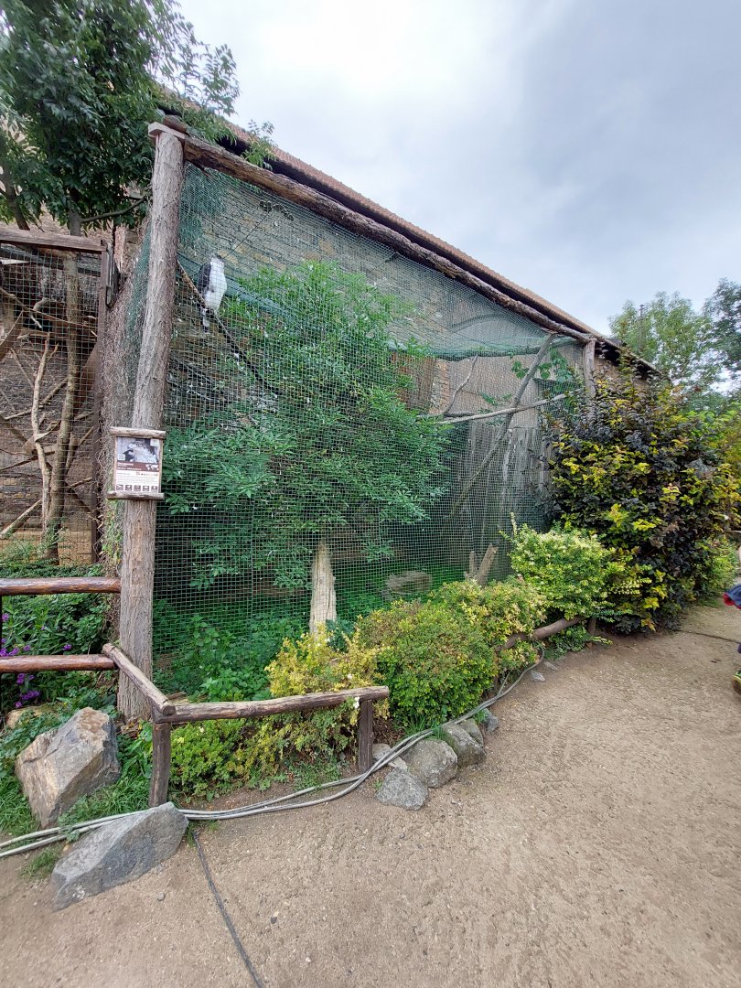 African hawk-eagle aviary