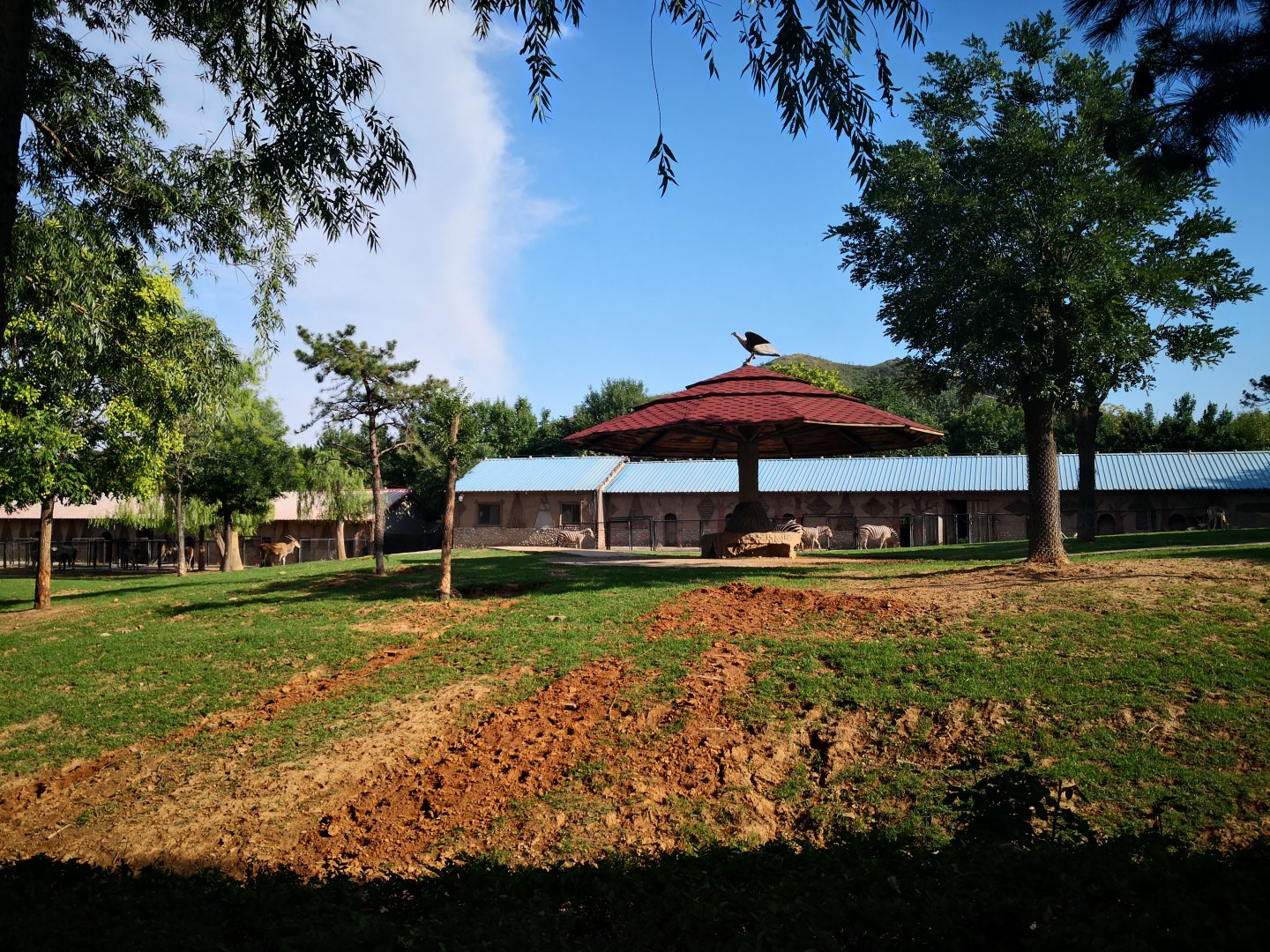 African herbivores exhibition