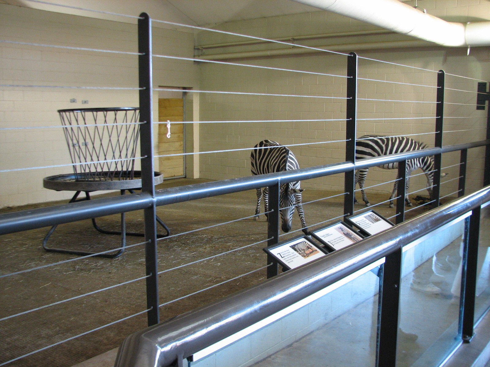 African Hoofed Stock - Grants Zebra Bedroom