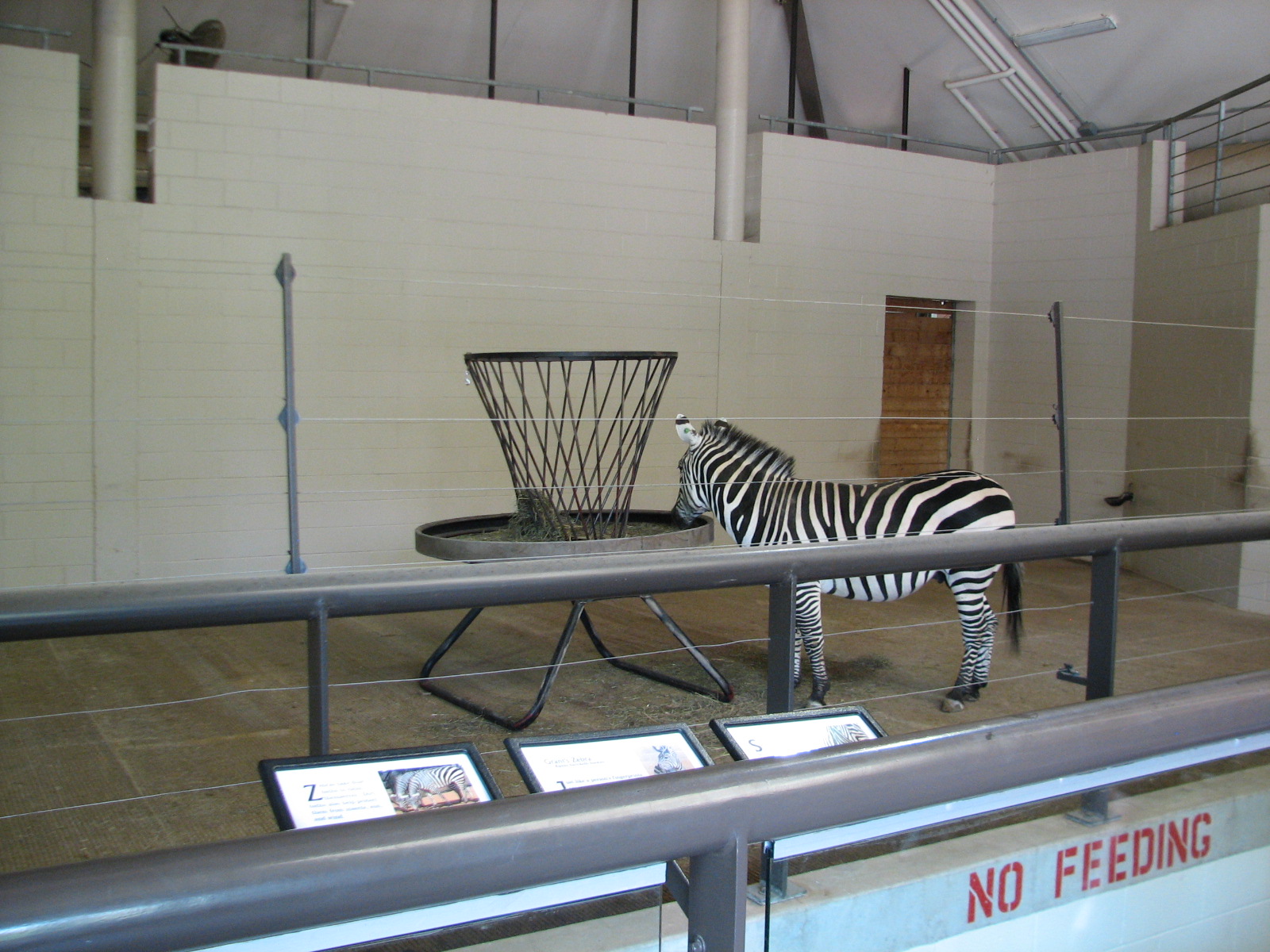 African Hoofed Stock - Grants Zebra Bedroom