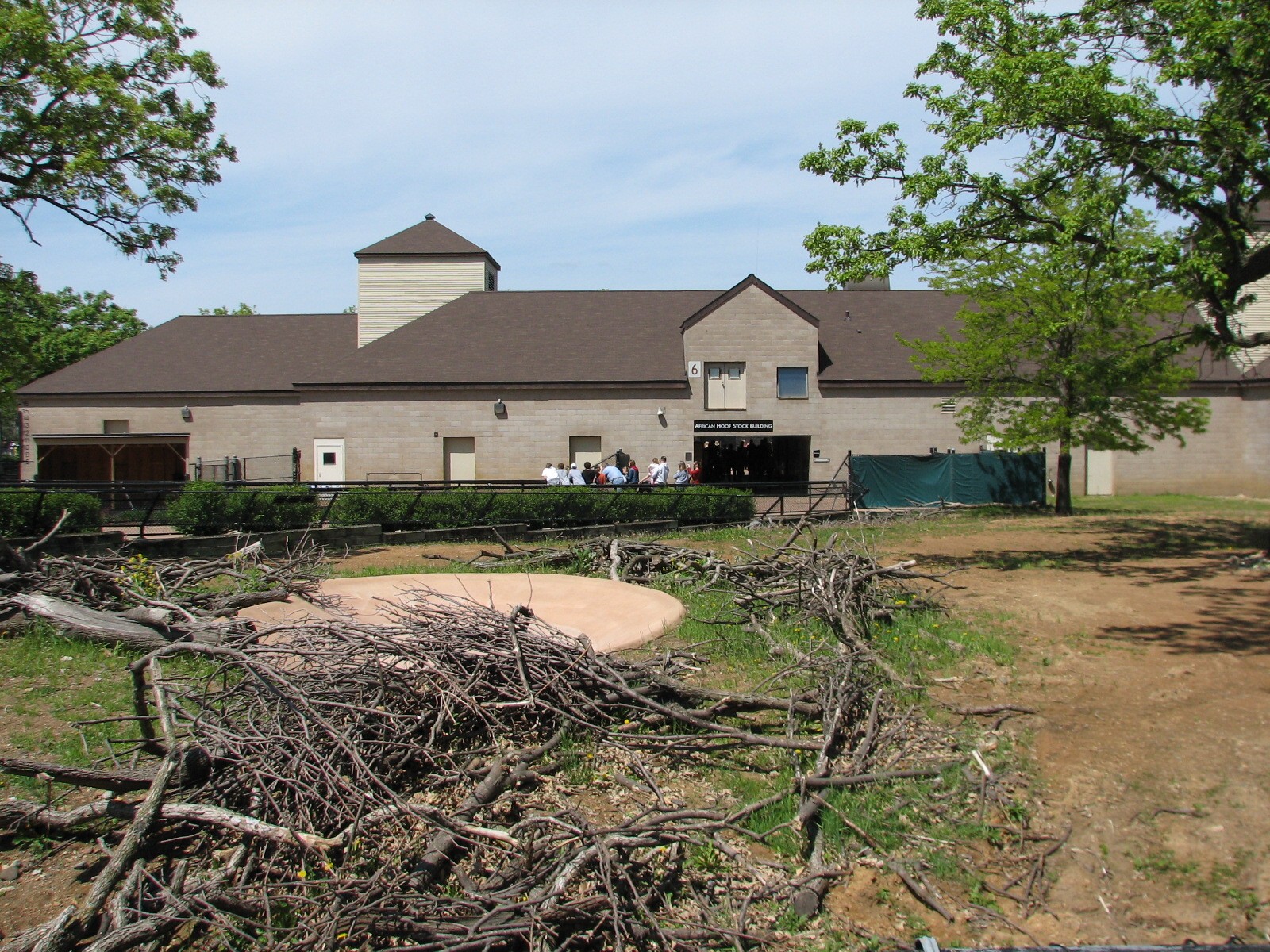 African Hoofed Stock - Lesser Kudu, Grants Zebra, and Black-crowned Crane E