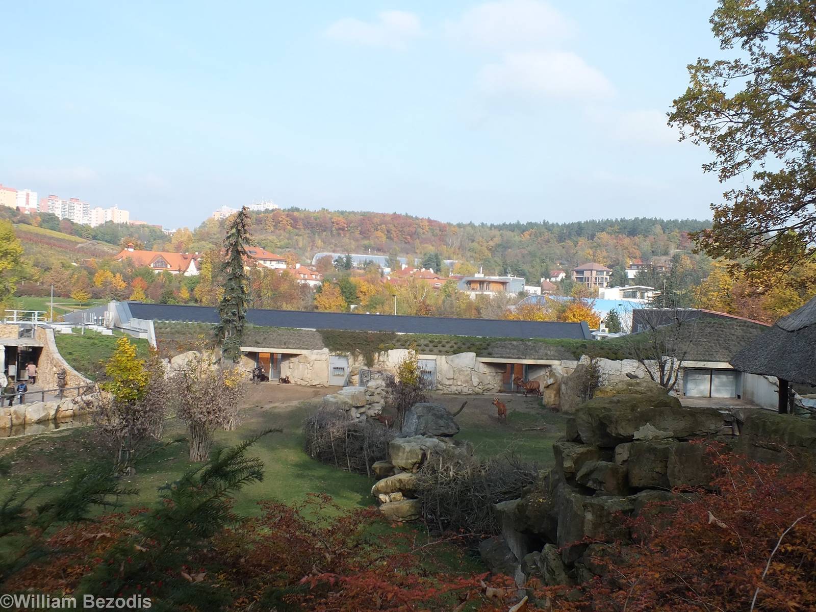 African Hoofstock Enclosures