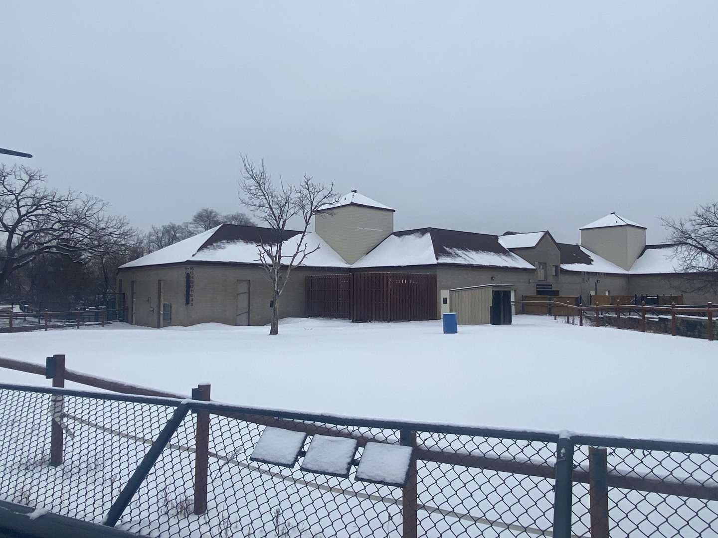 African Hoofstock - Generic Giraffe/Grant’s Zebra/Common Ostrich Exhibit