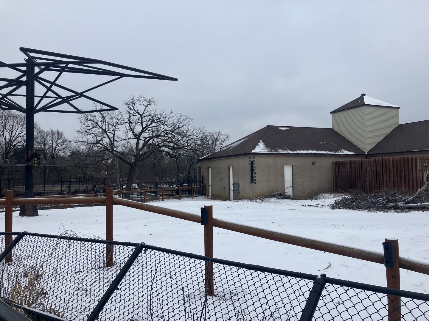 African Hoofstock - Giraffe/Common Ostrich/Plains Zebra Exhibit