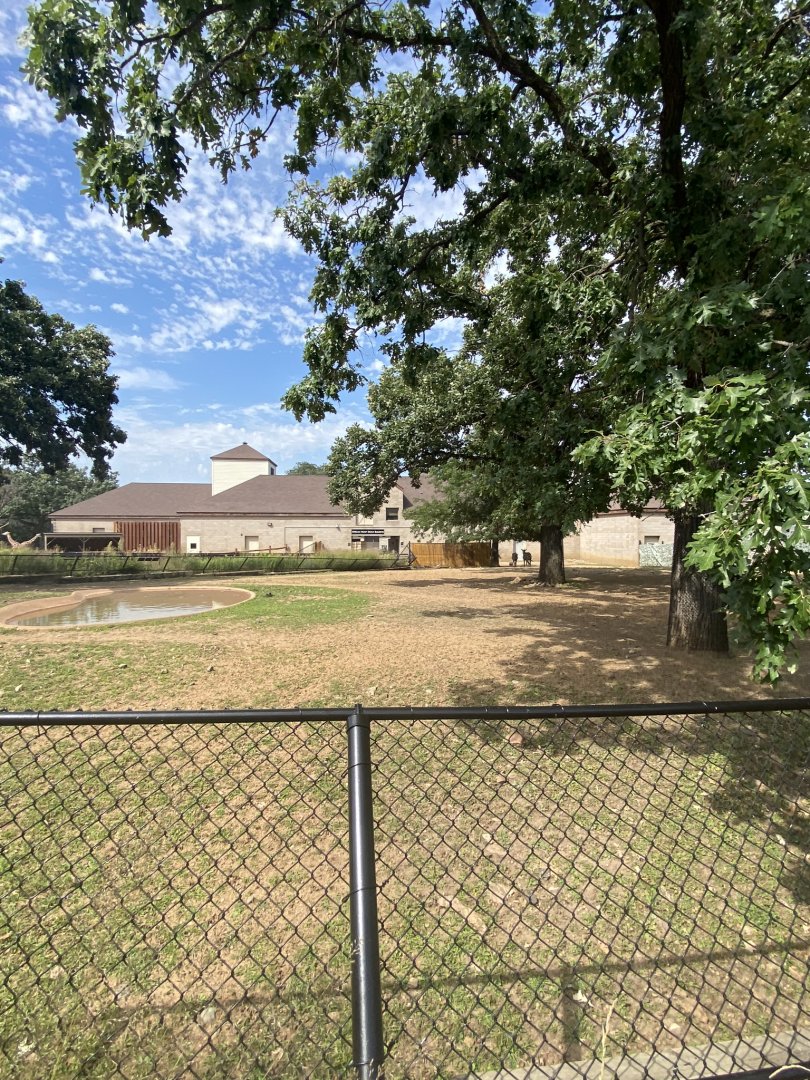 African hoofstock- grants zebra/lesser kudu/African spurred tortoise exhibit
