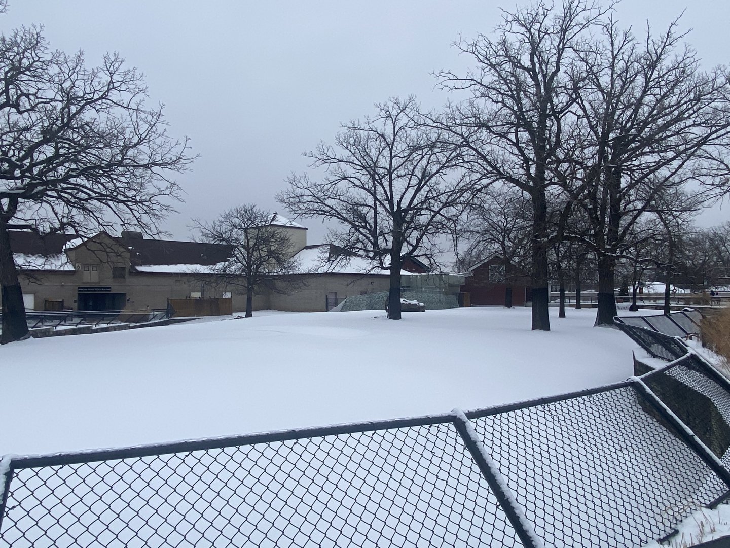 African Hoofstock - Grant’s Zebra/Lesser Kudu/African Spurred Tortoise Exhibit