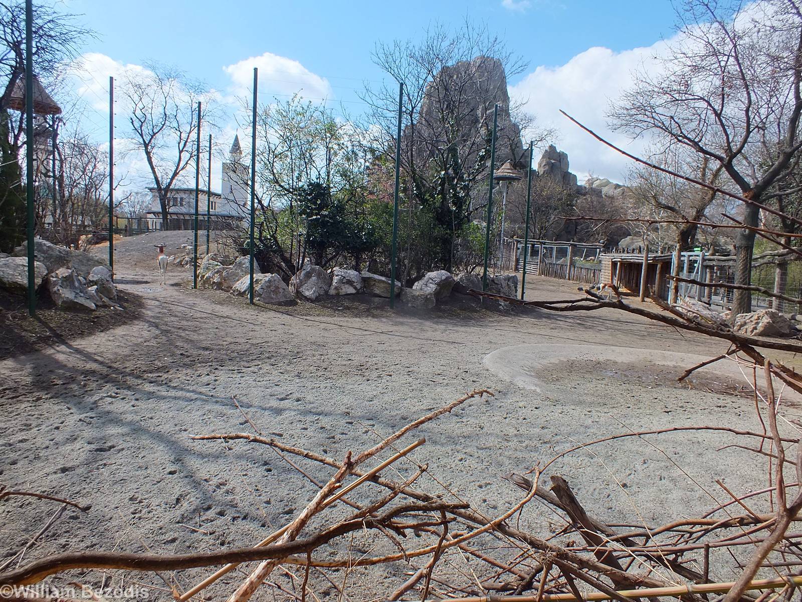 African Hoofstock Outdoor Area