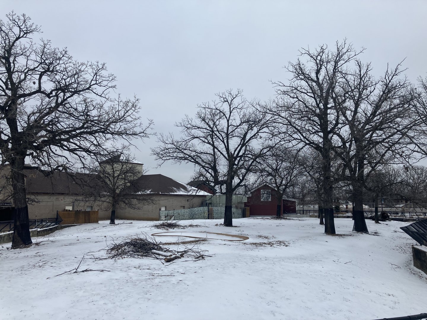 African Hoofstock - Plains Zebra/Lowland Nyala/Grey-Crowned Crane/Sulcata Tortoise Exhibit