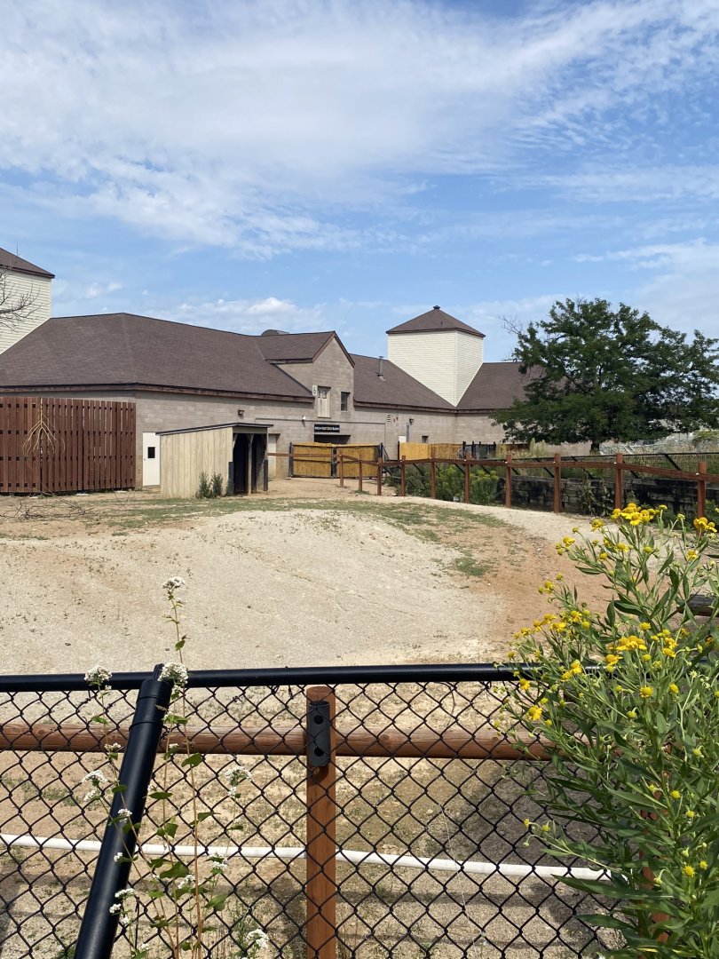 African hoofstock- reticulated giraffe/ostrich/plains zebra exhibit