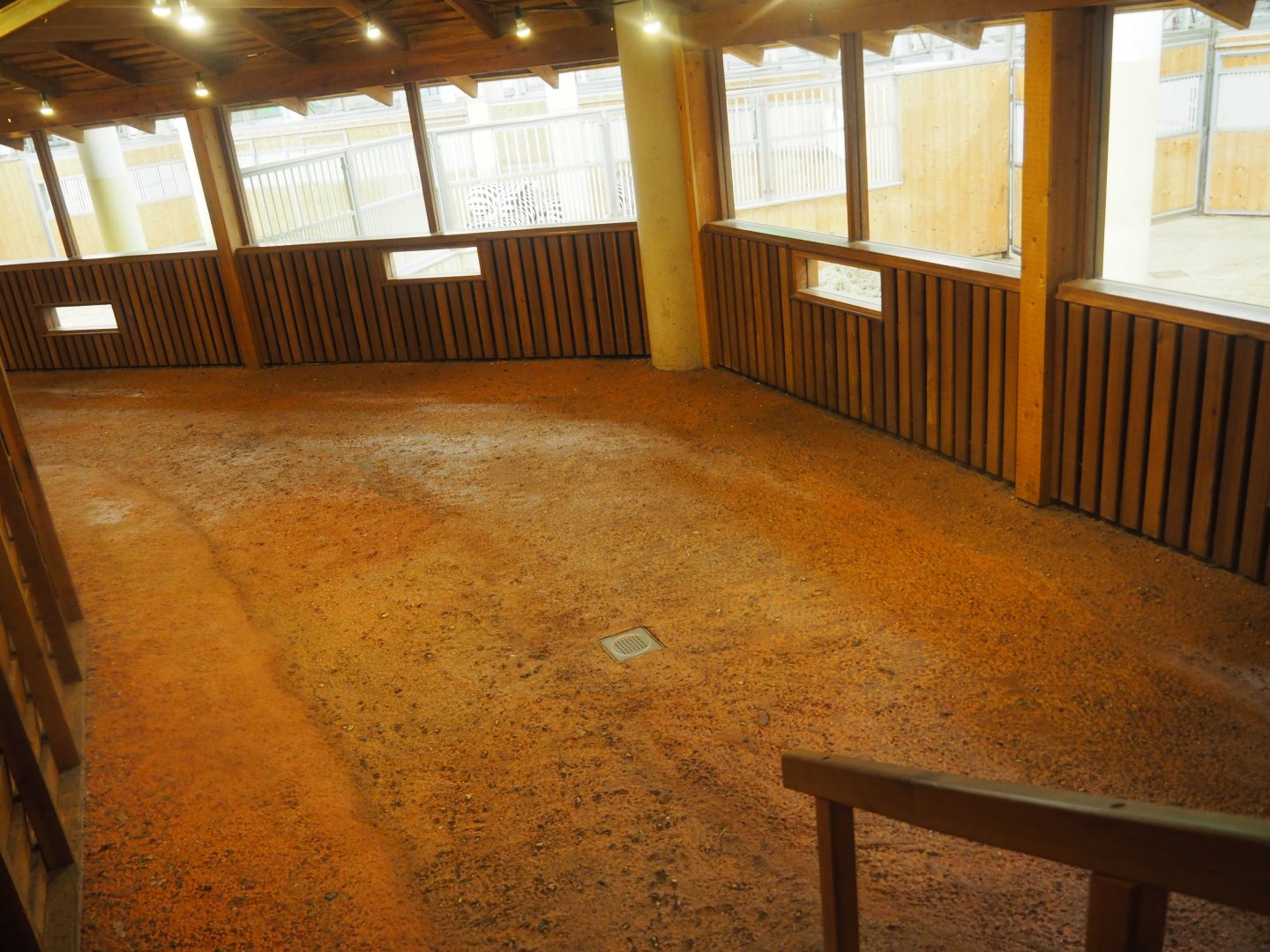 African Hoofstock Stable