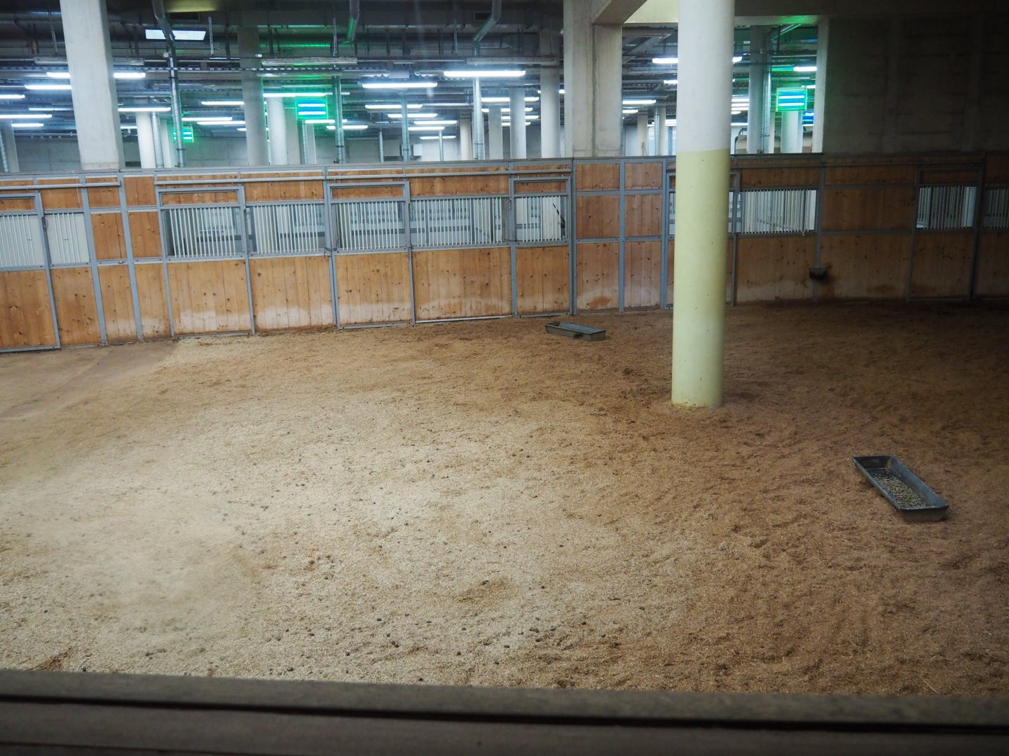 African Hoofstock Stable