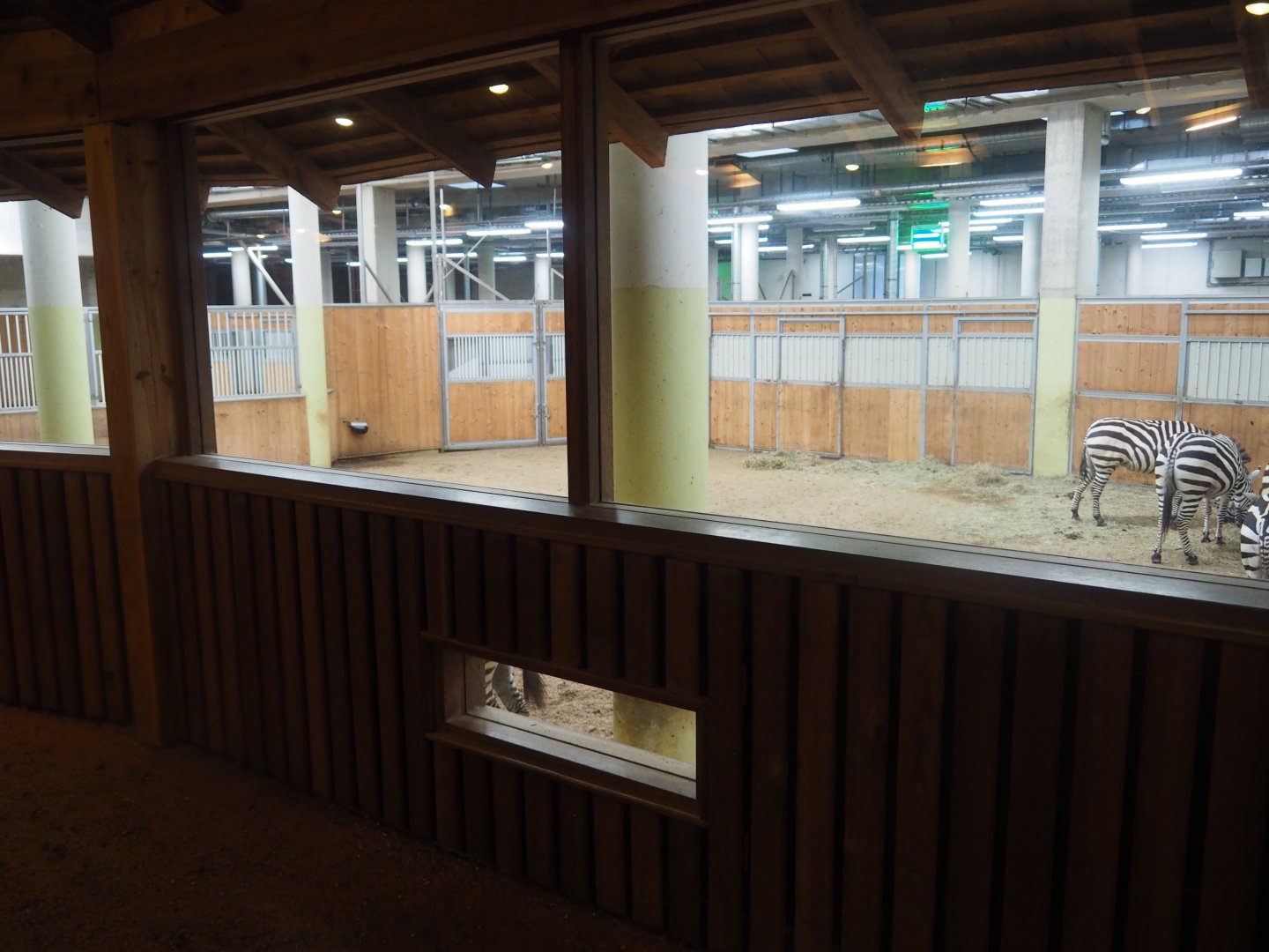 African Hoofstock Stable