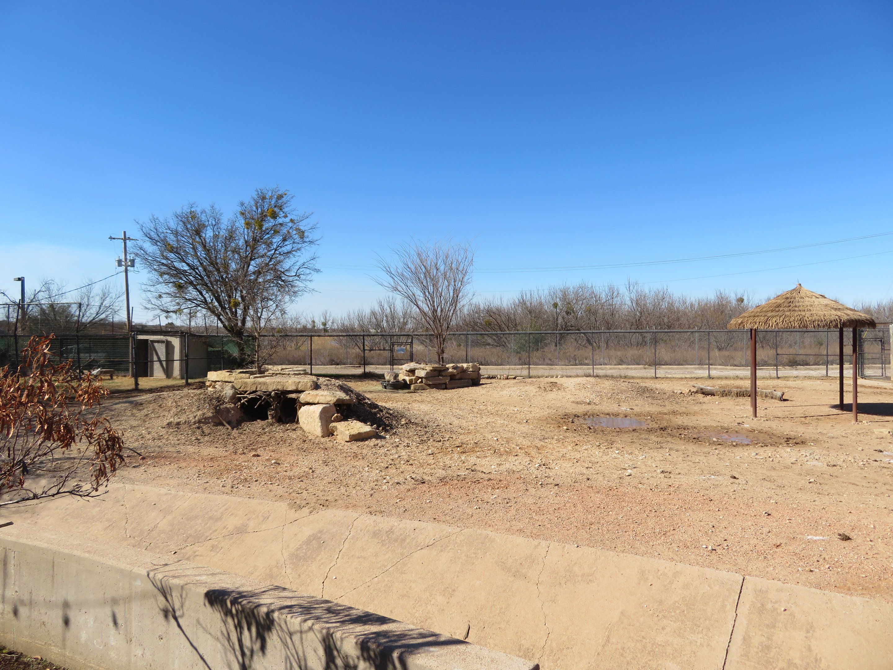 African Hoofstock Yards