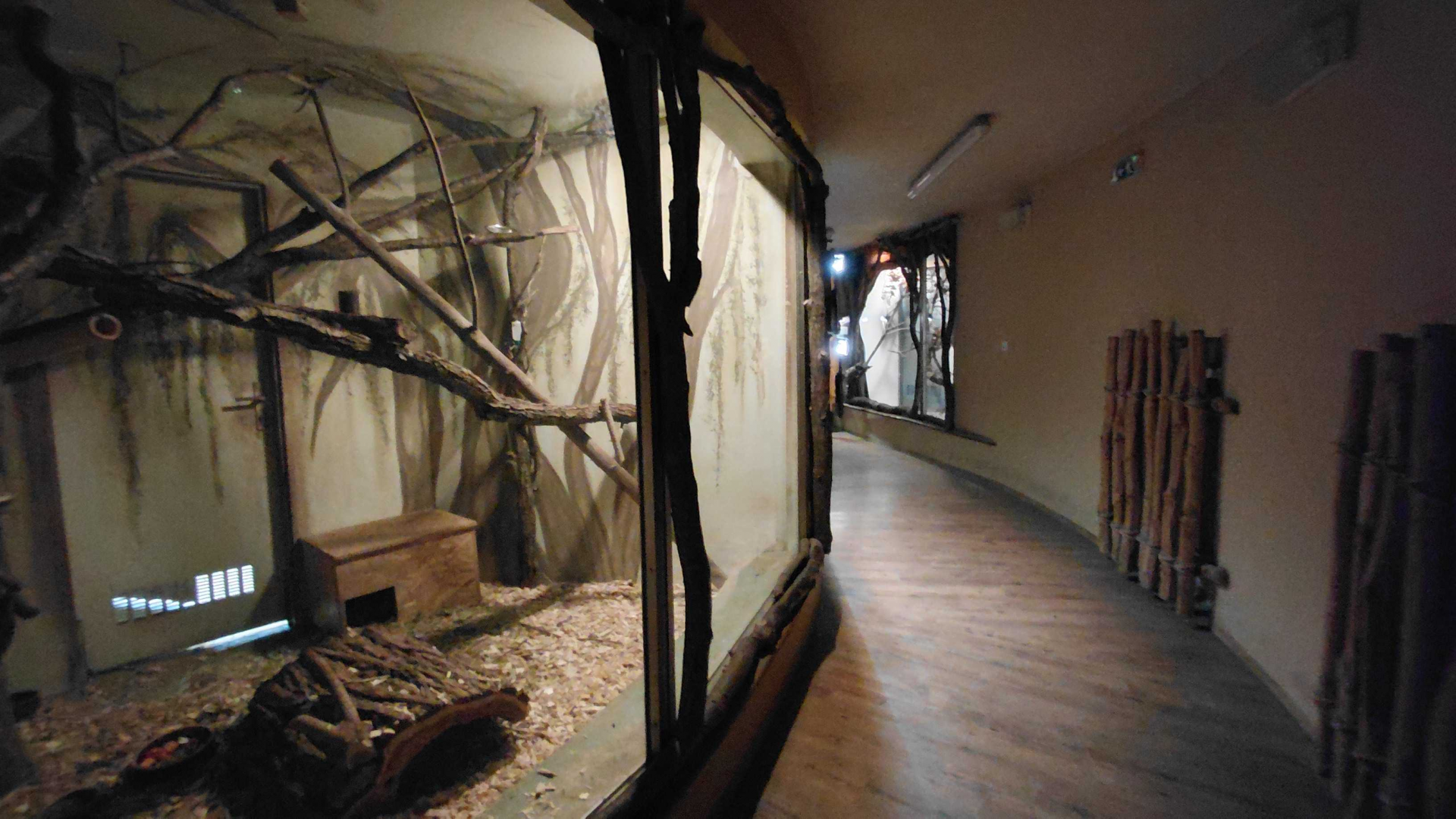 African house - nocturnal section