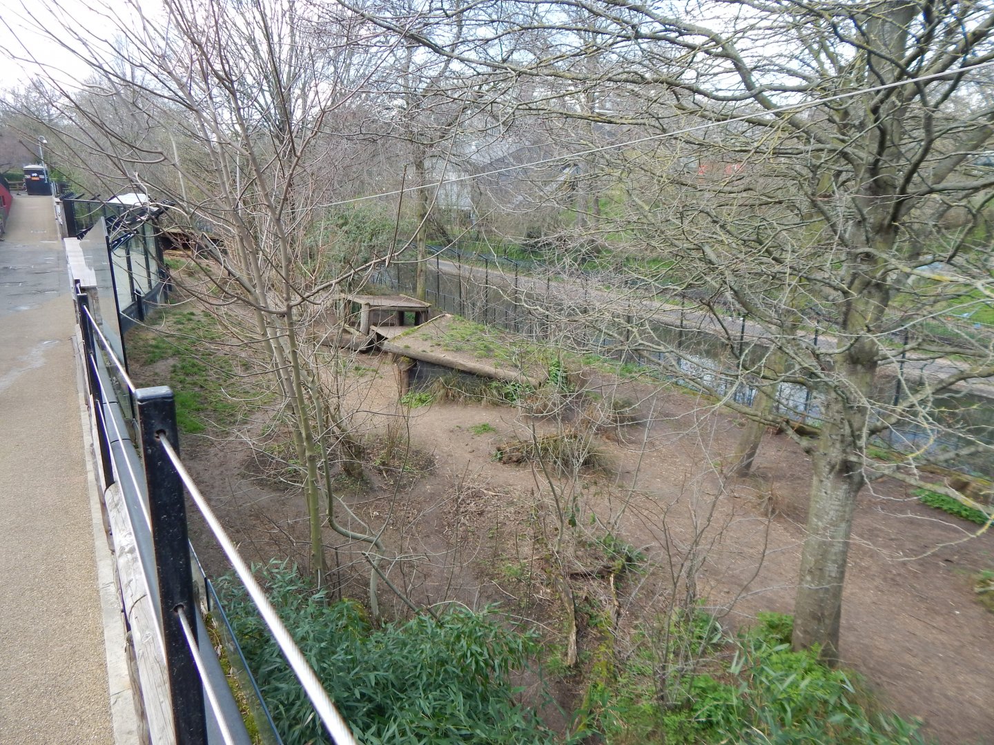 African hunting dog enclosure 180322