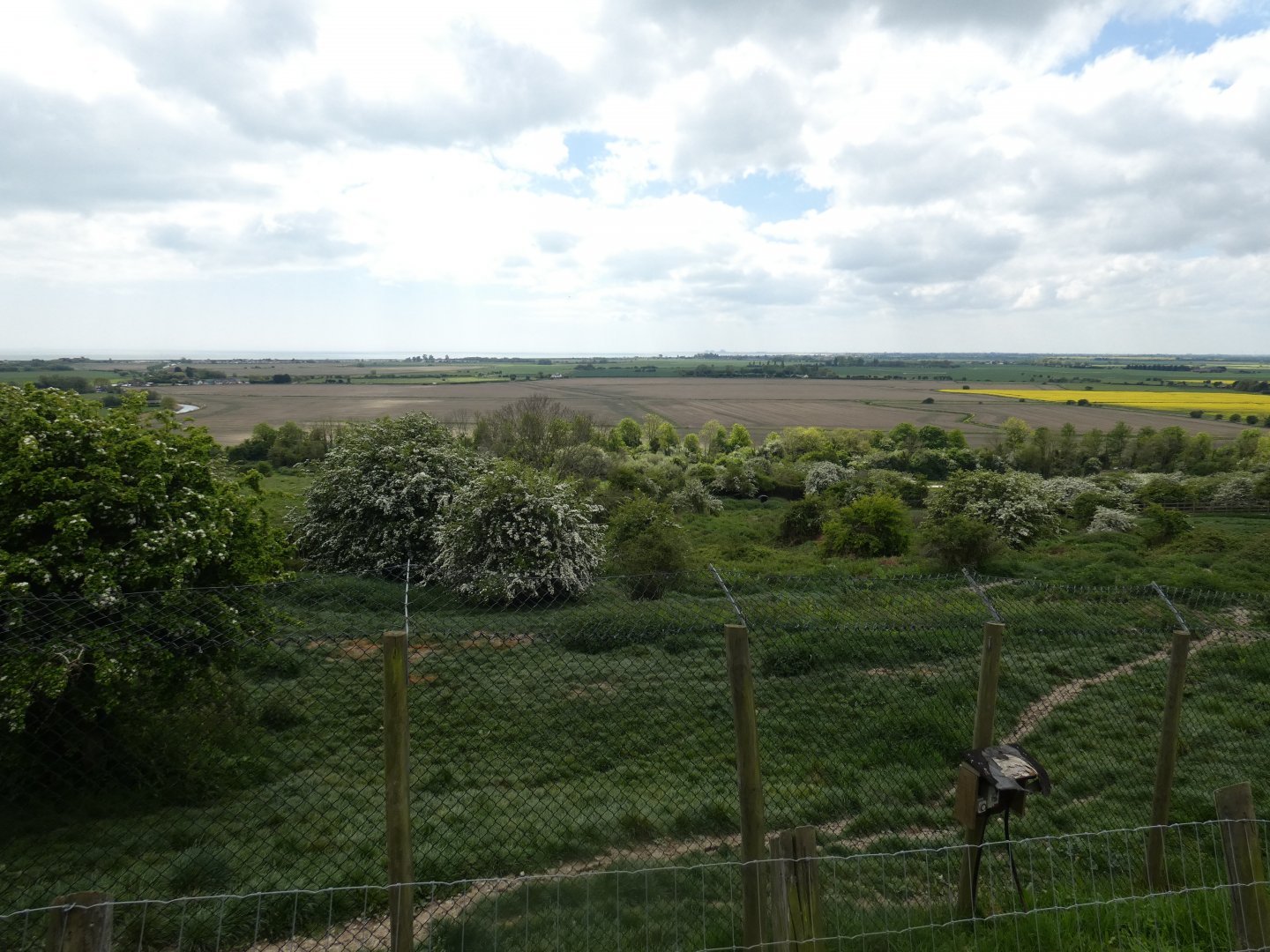 African hunting dog enclosure (2)