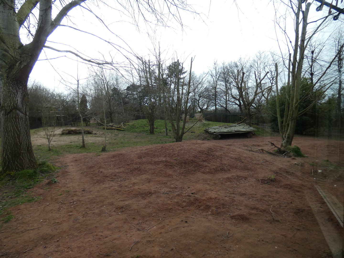 African hunting dog enclosure (2)