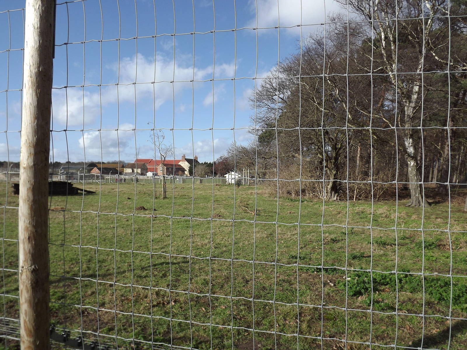 African Hunting Dog enclosure at Yorkshire Wildlife Park 18/02/12